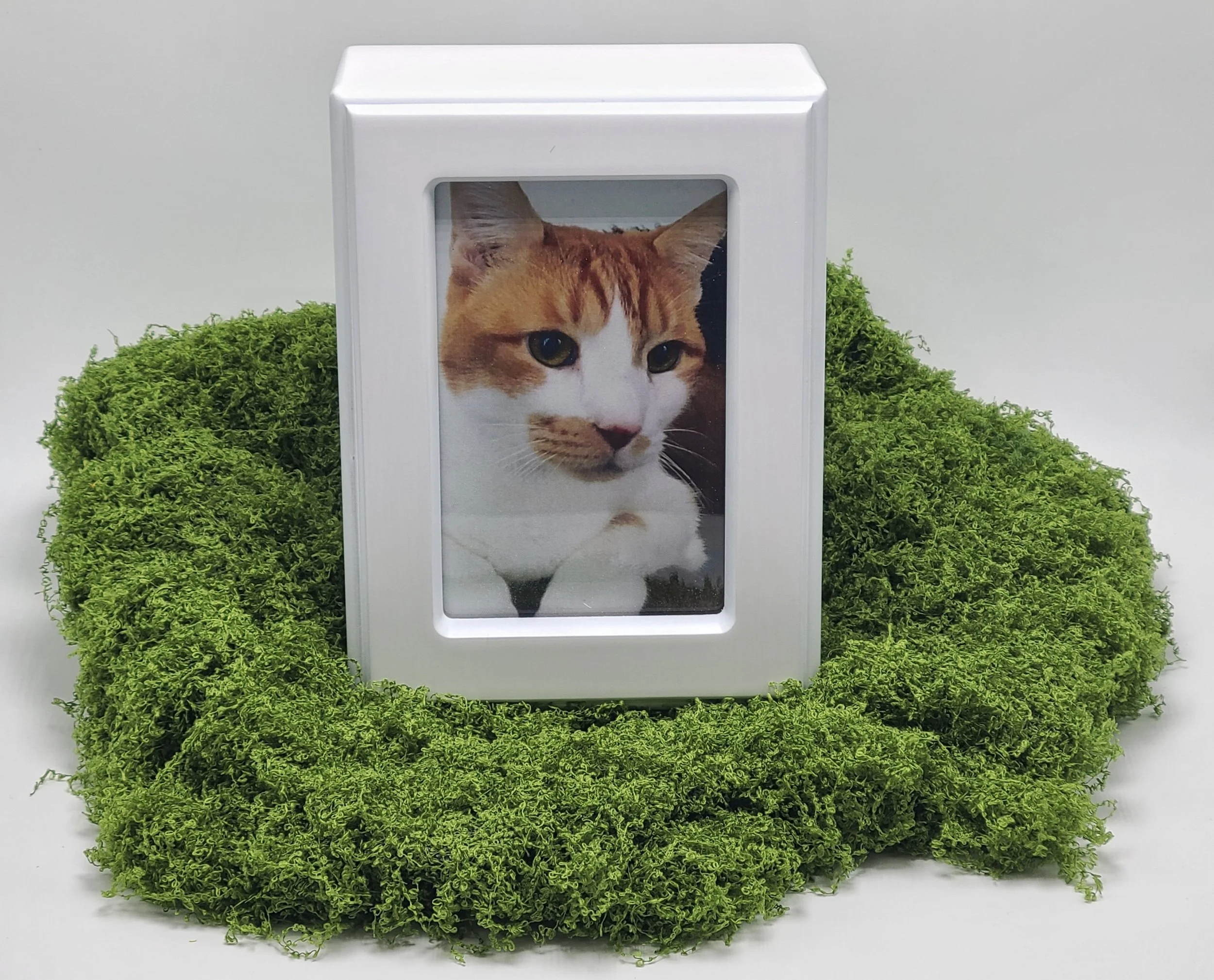 Whitewash Wooden Photo Urn