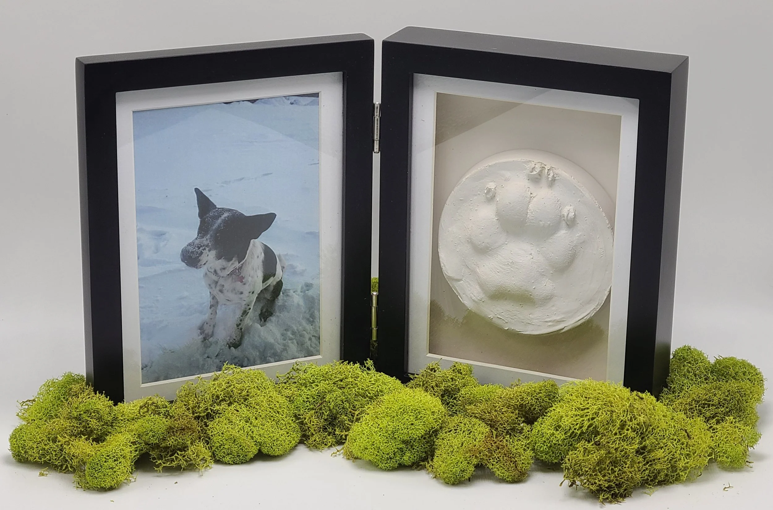 Photo & Shadow Box Frame