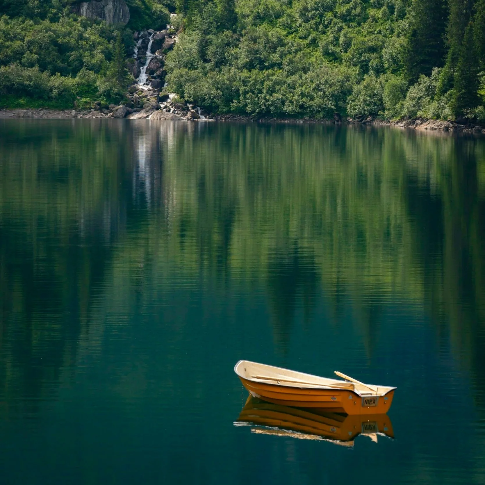 Private Cremation and Viewing