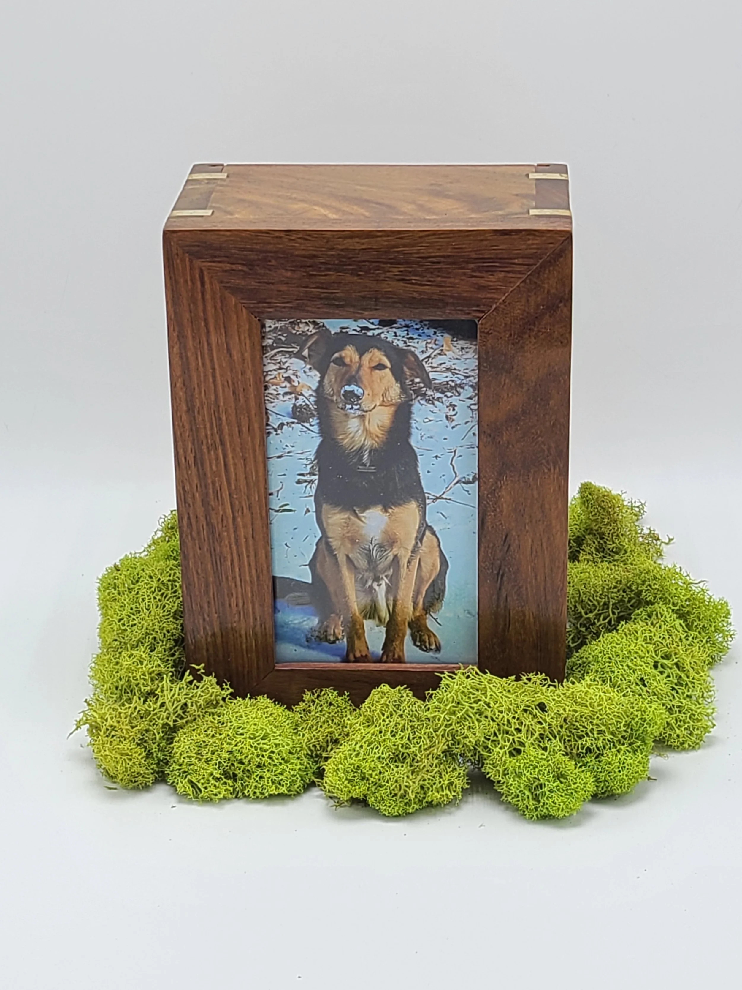 Premium Wood Pet Urn with Brass Corners and Picture Display