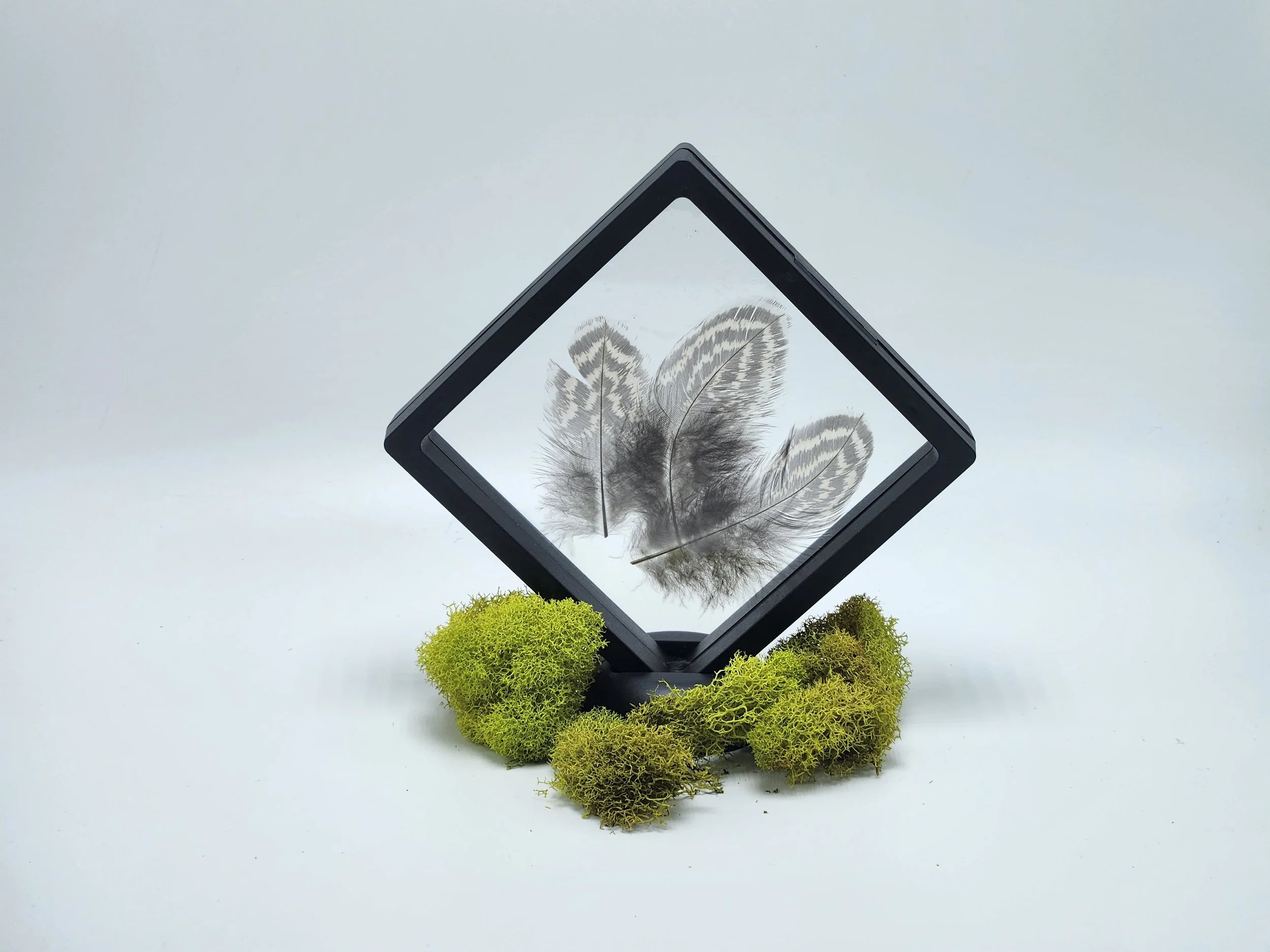 Float Frame Feathers3.jpg