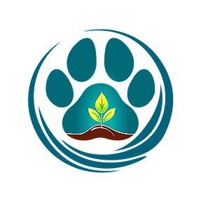 Full Circle Water Cremation