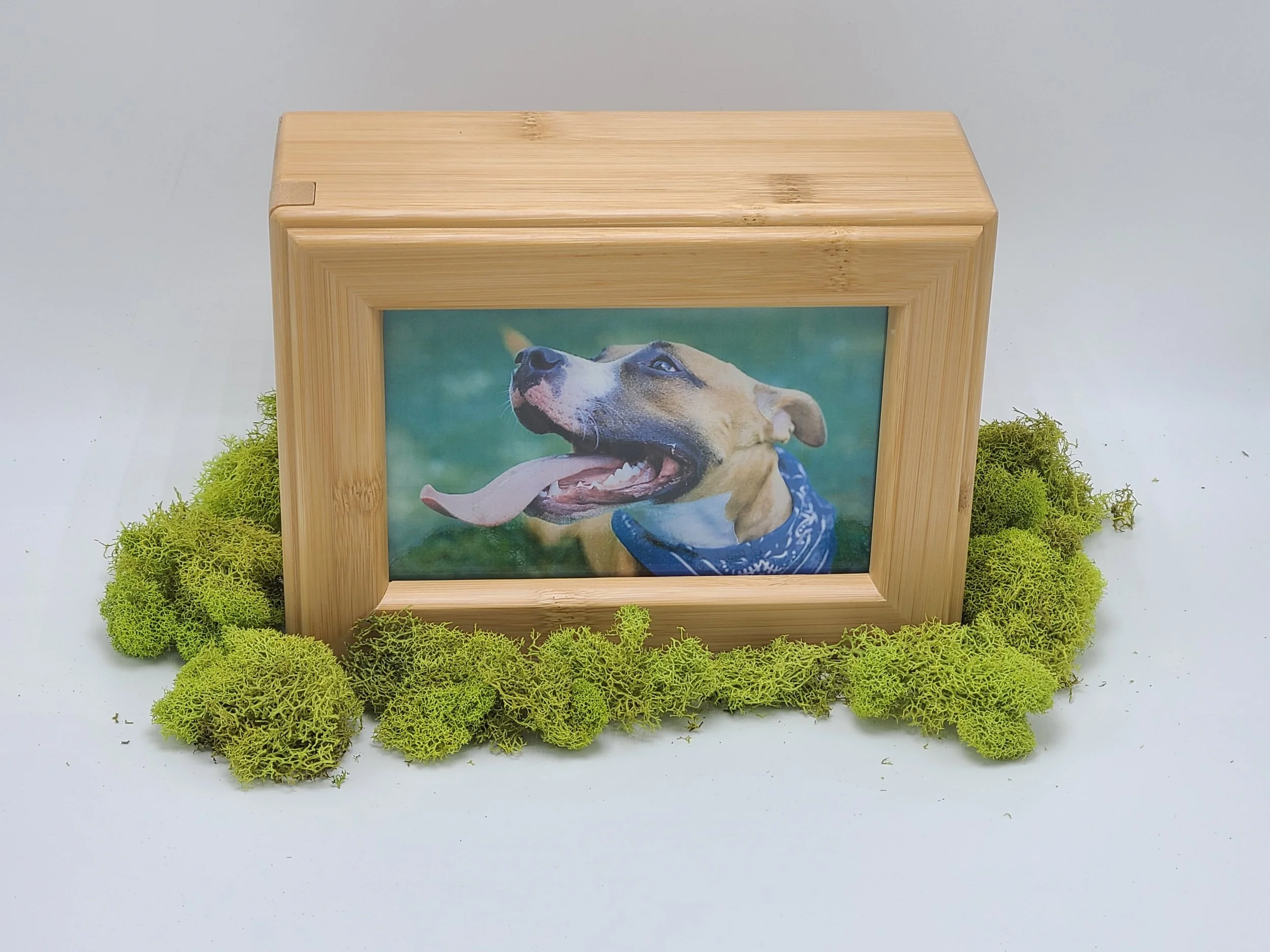 Bamboo Photo Urn