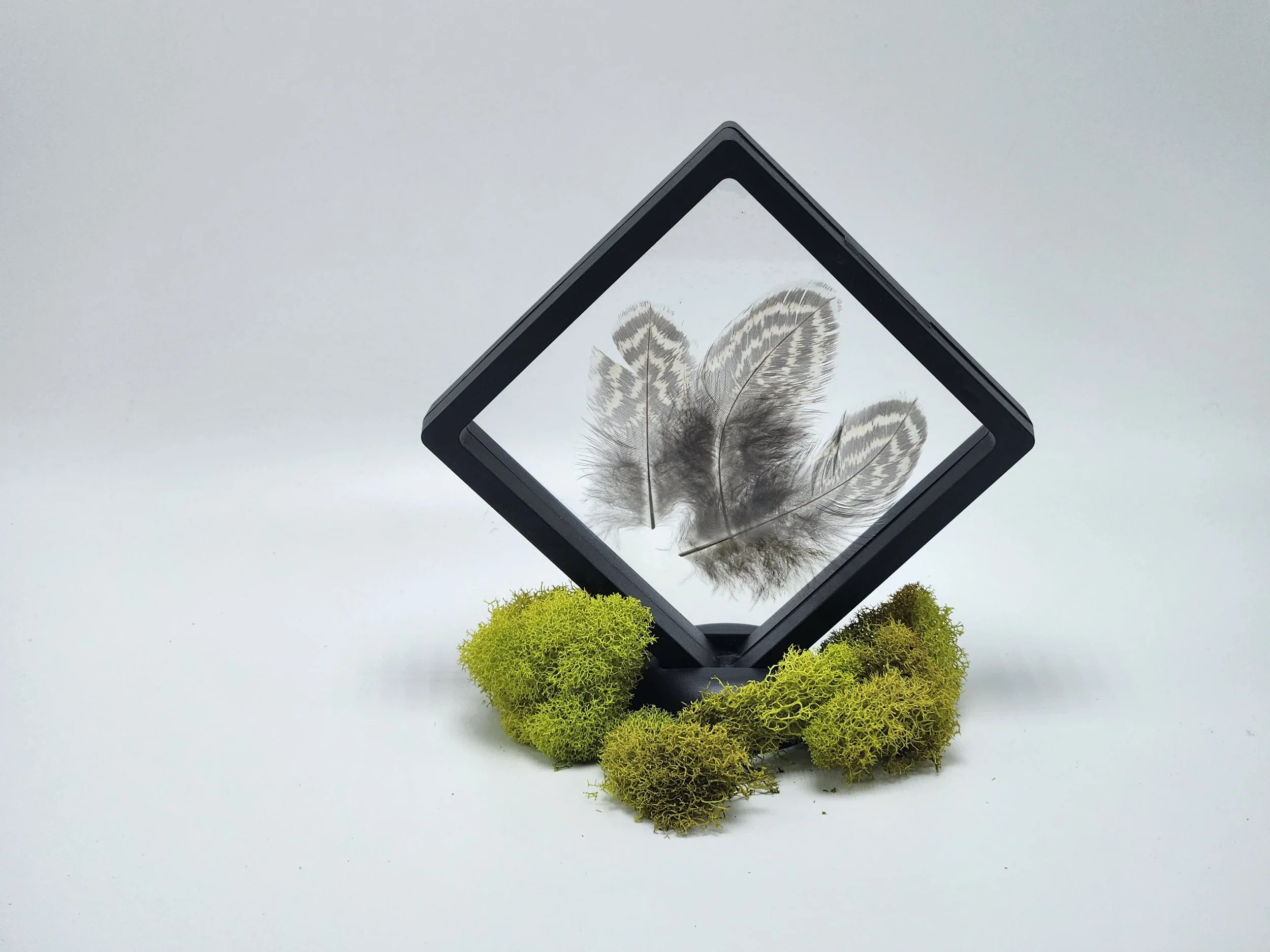Float Frame Feathers1.jpg