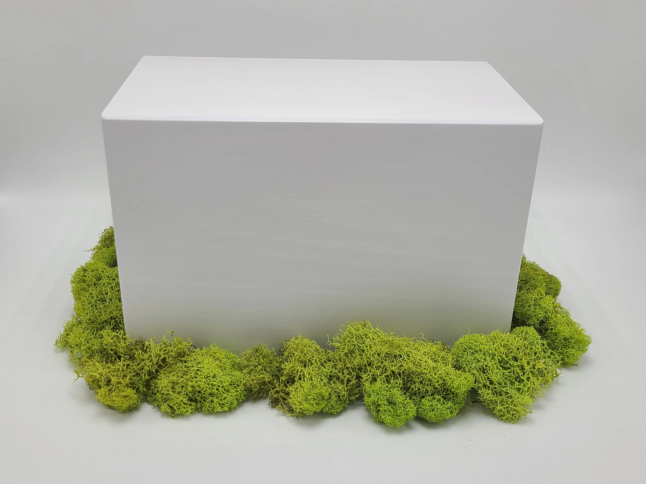 Whitewash Finished, Wooden Pet Urn