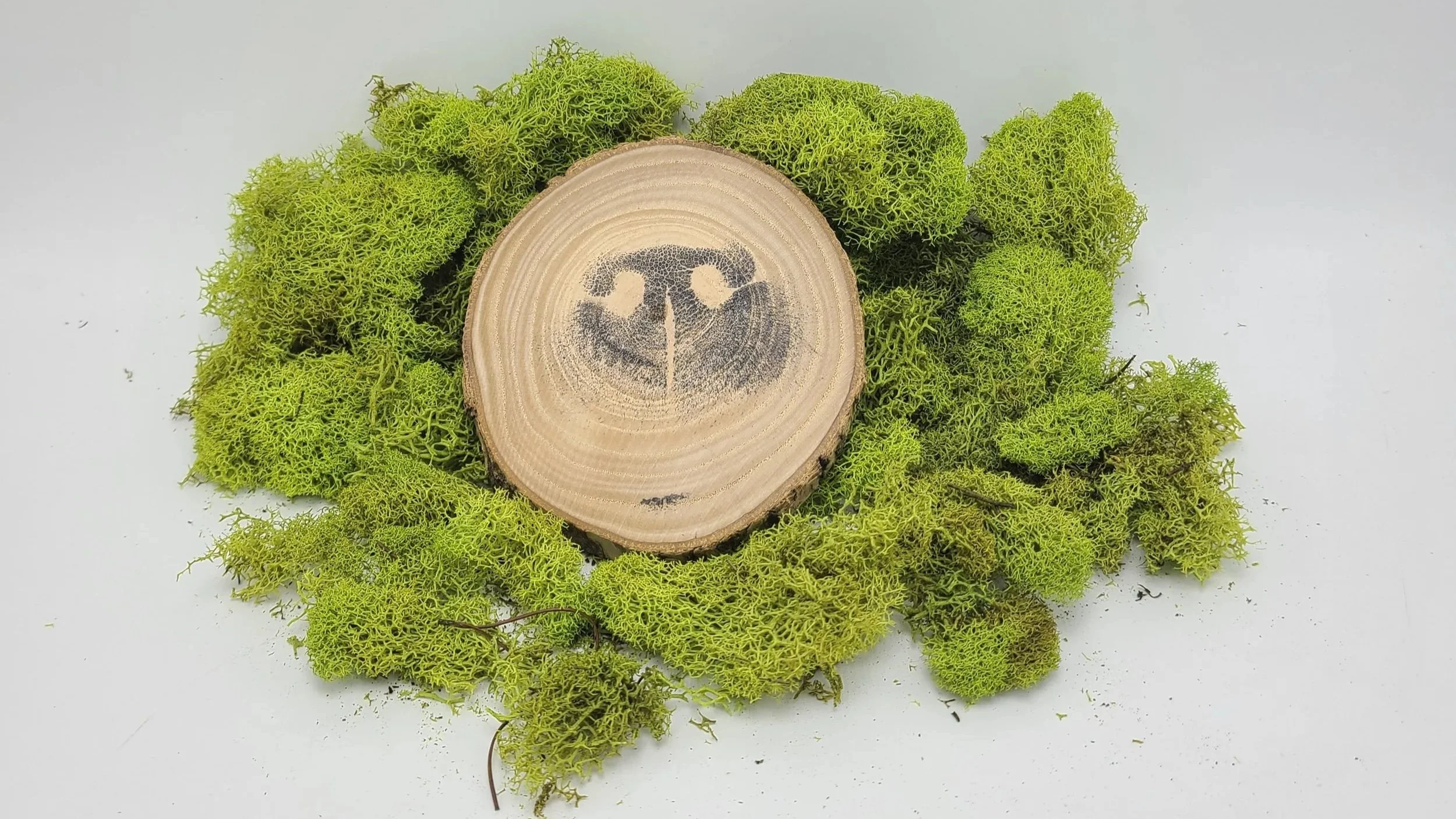 InkNose_WoodDisc.jpg