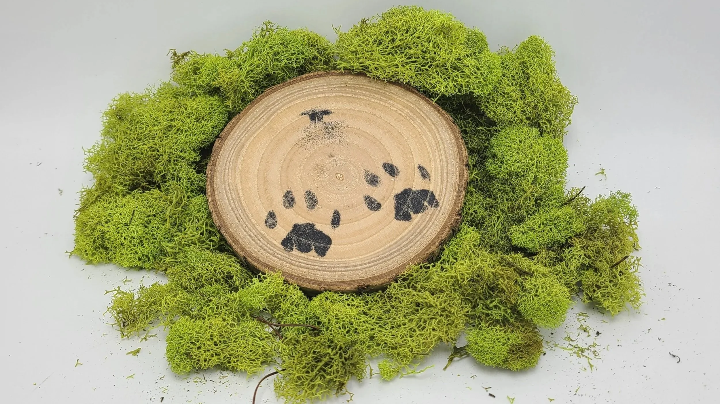 InkNose%26Paws_WoodDisc.jpg