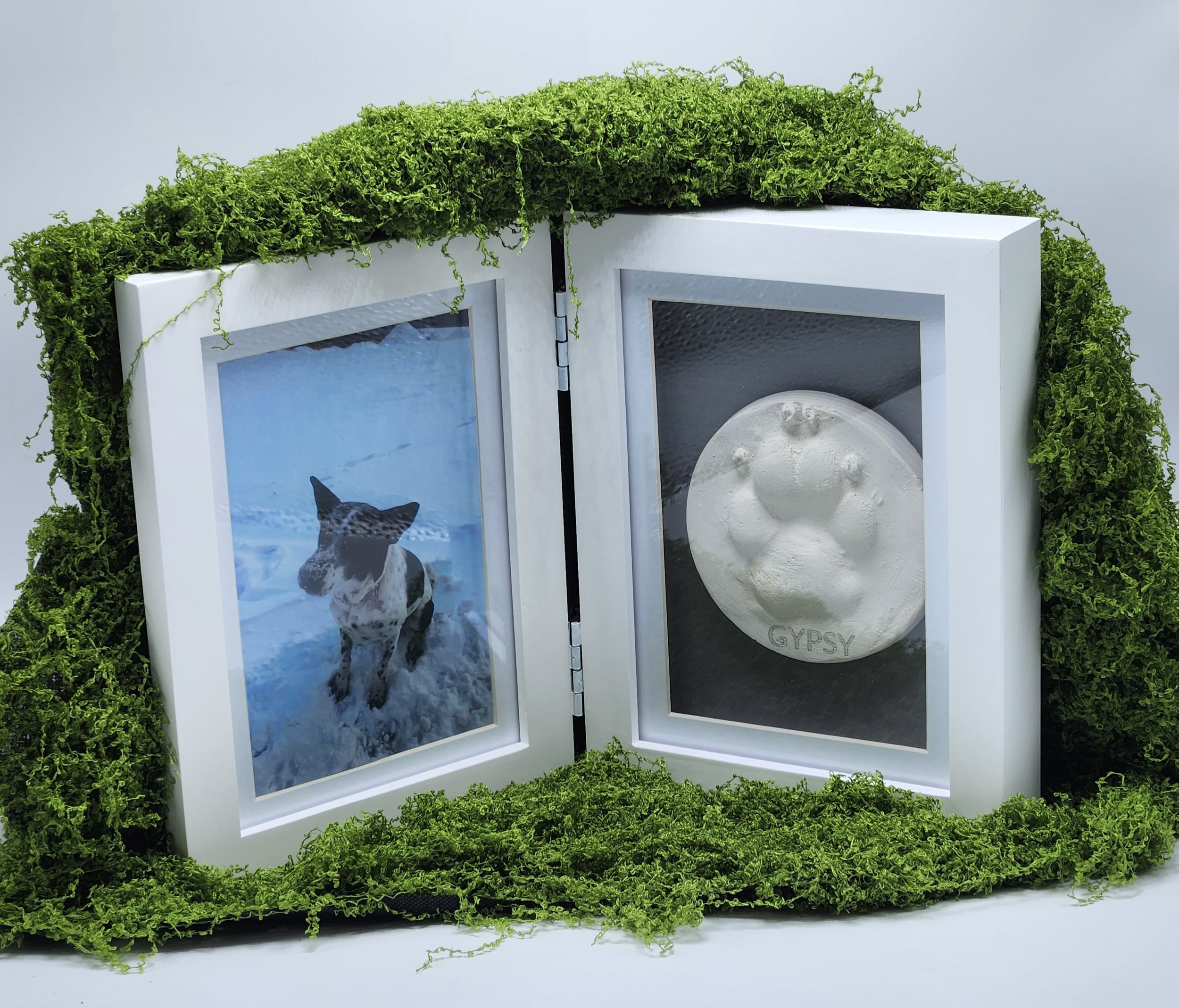 Photo & Shadow Box Frame