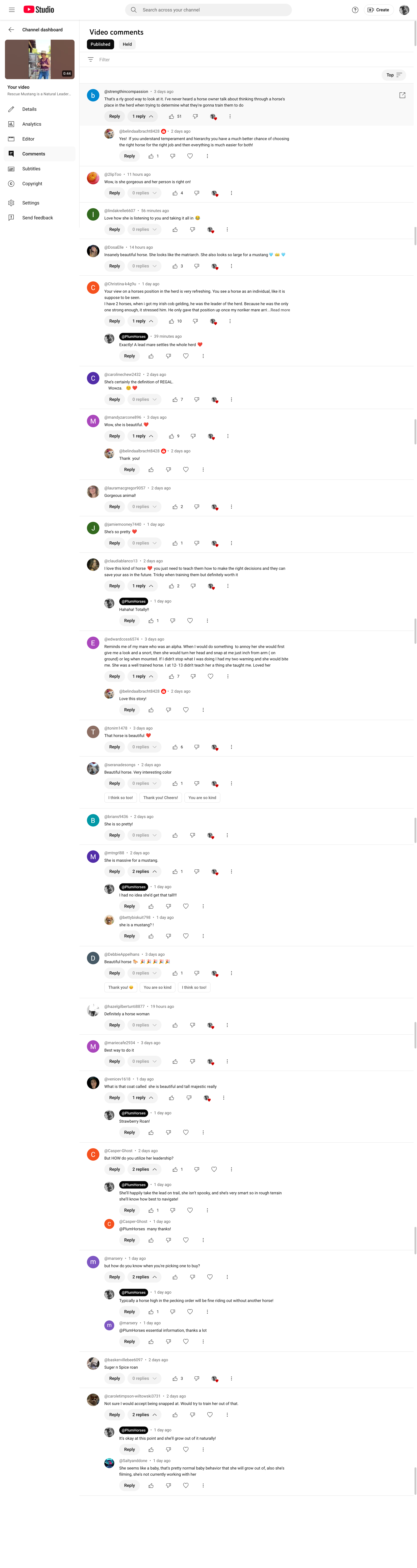 YouTube comment section with many comments under a video featuring a person in a room with red walls and a uniform with a hat. The comments include reactions, questions, and responses among viewers.