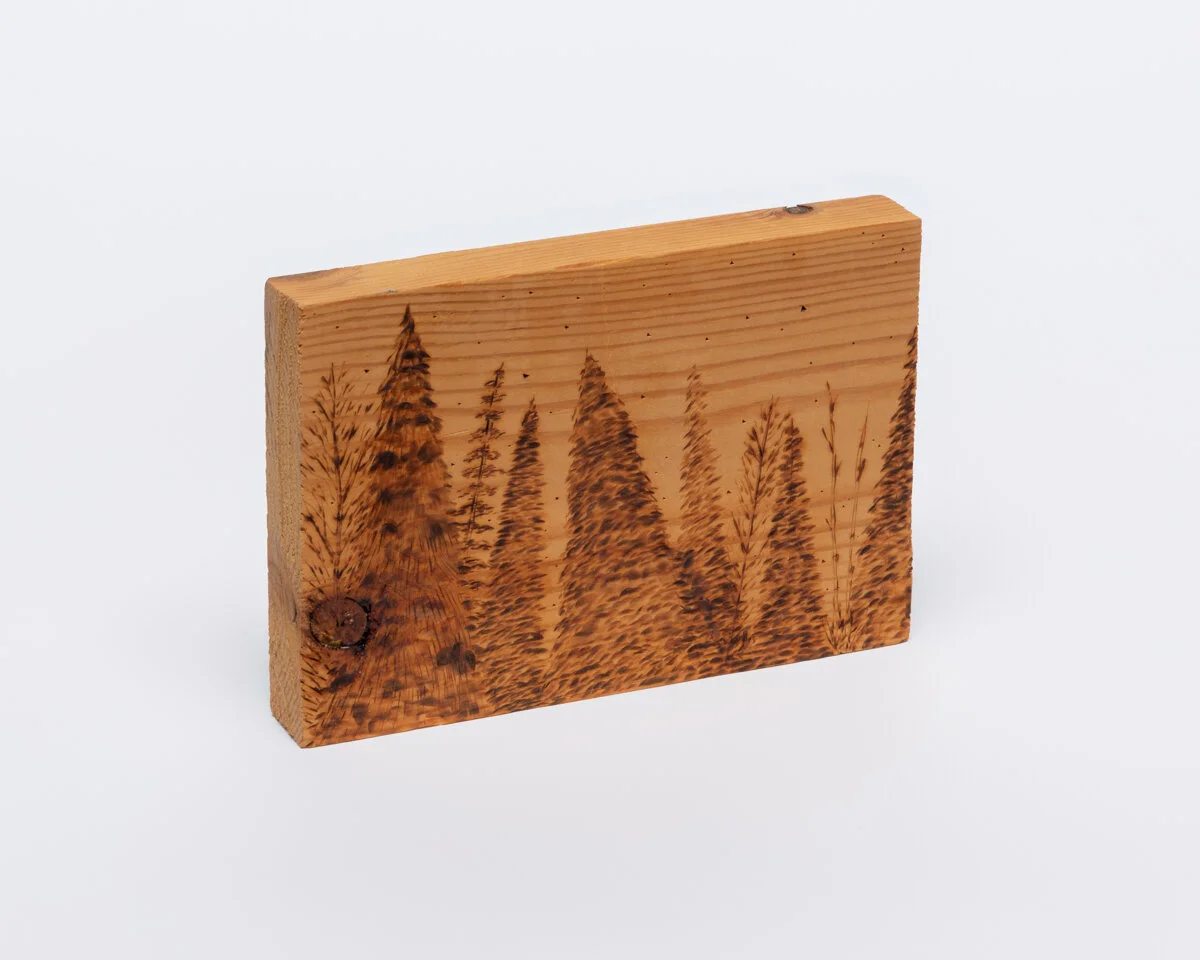 Erick Michaud, Woods at Night, 2009, Wood with burning, 3 1/2 x 5 x 3/4 inches.