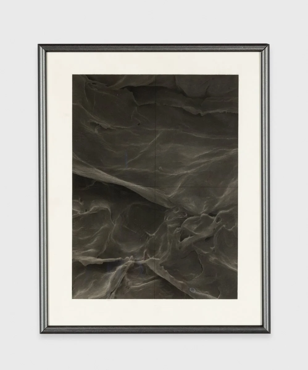 Bethany Johnson, Untitled, 2012. Gift of Browne Goodwin, shown in Gifts, Aug 24–Nov 10, 2019