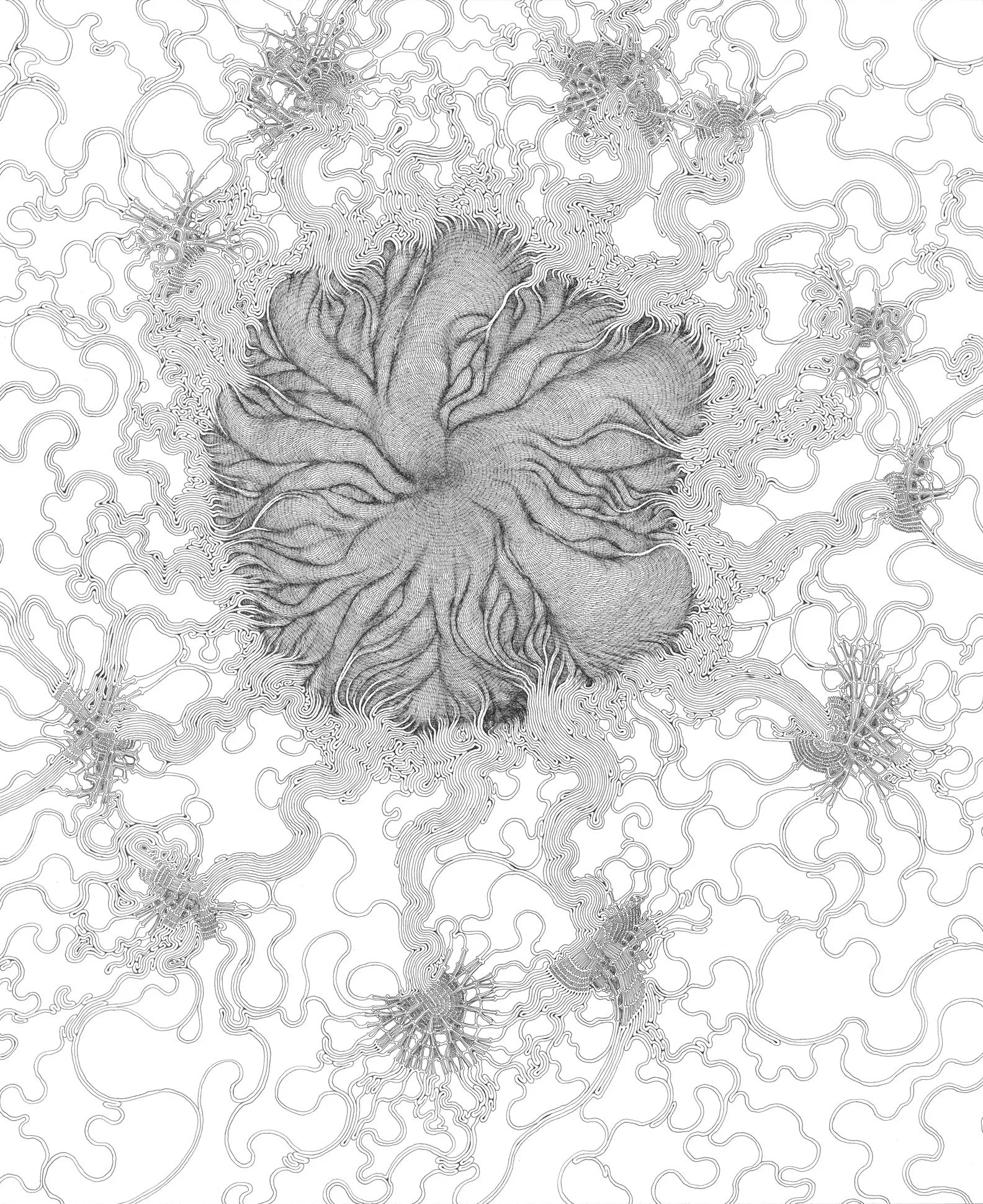 Daniel Zeller, Interdependent Extraction, 2007. Gift of Timothy Woolsey, shown in Gifts, Aug 24–Nov 10, 2019