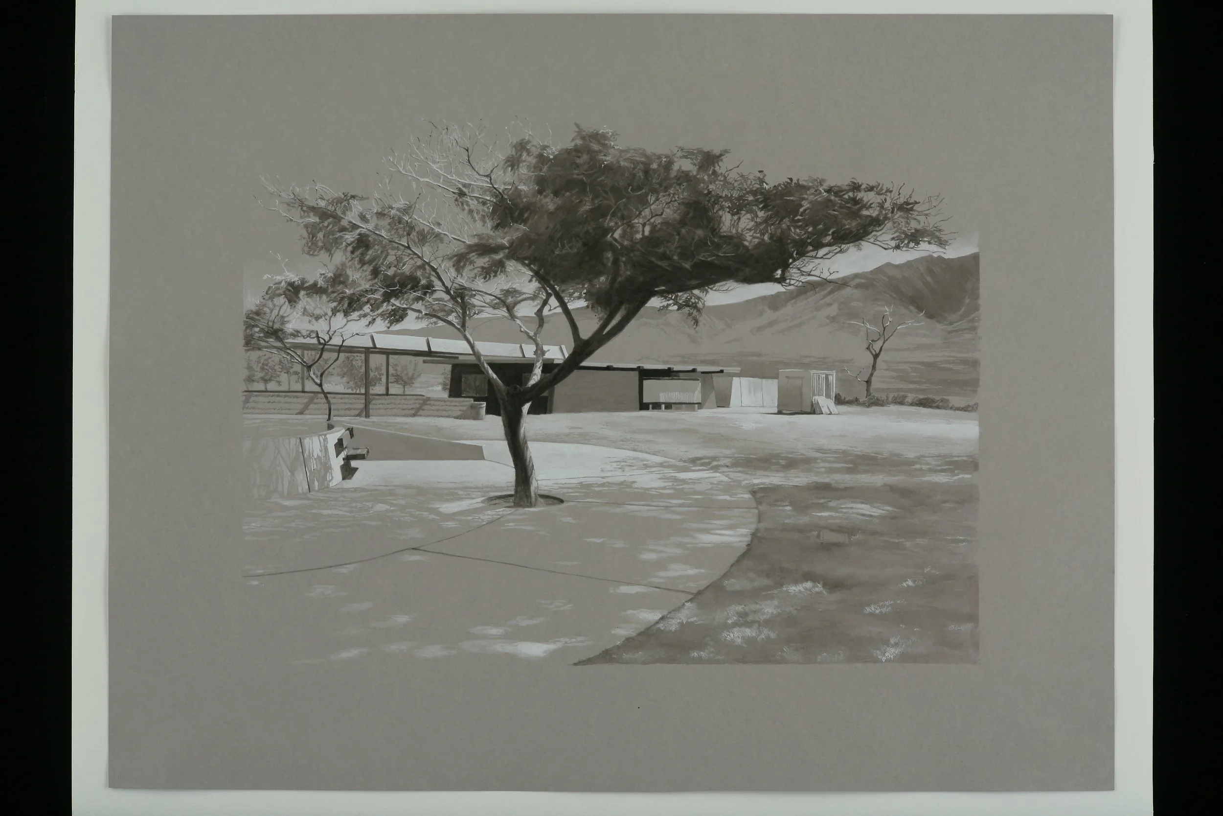 Sarah Newton, Coso Junction Tree, 2012. Gift of Timothy Woolsey, shown in Gifts, Aug 24–Nov 10, 2019