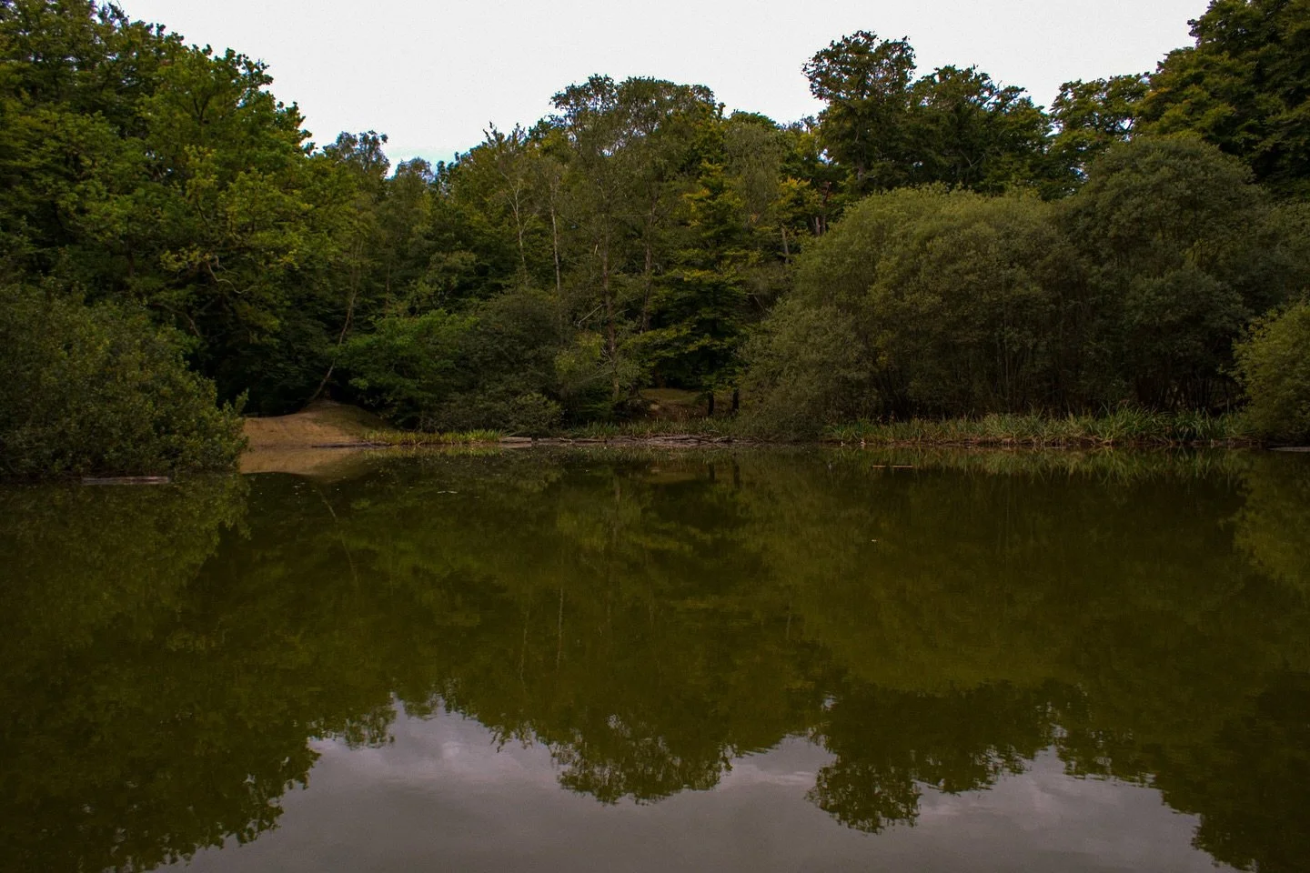 🌲 

#TheLostPond #EppingForest #GreenEscape #LondonWalks #EastLondon #SonyAlpha #AlphaAutumnUK #ReflectionPhotography #Landscape