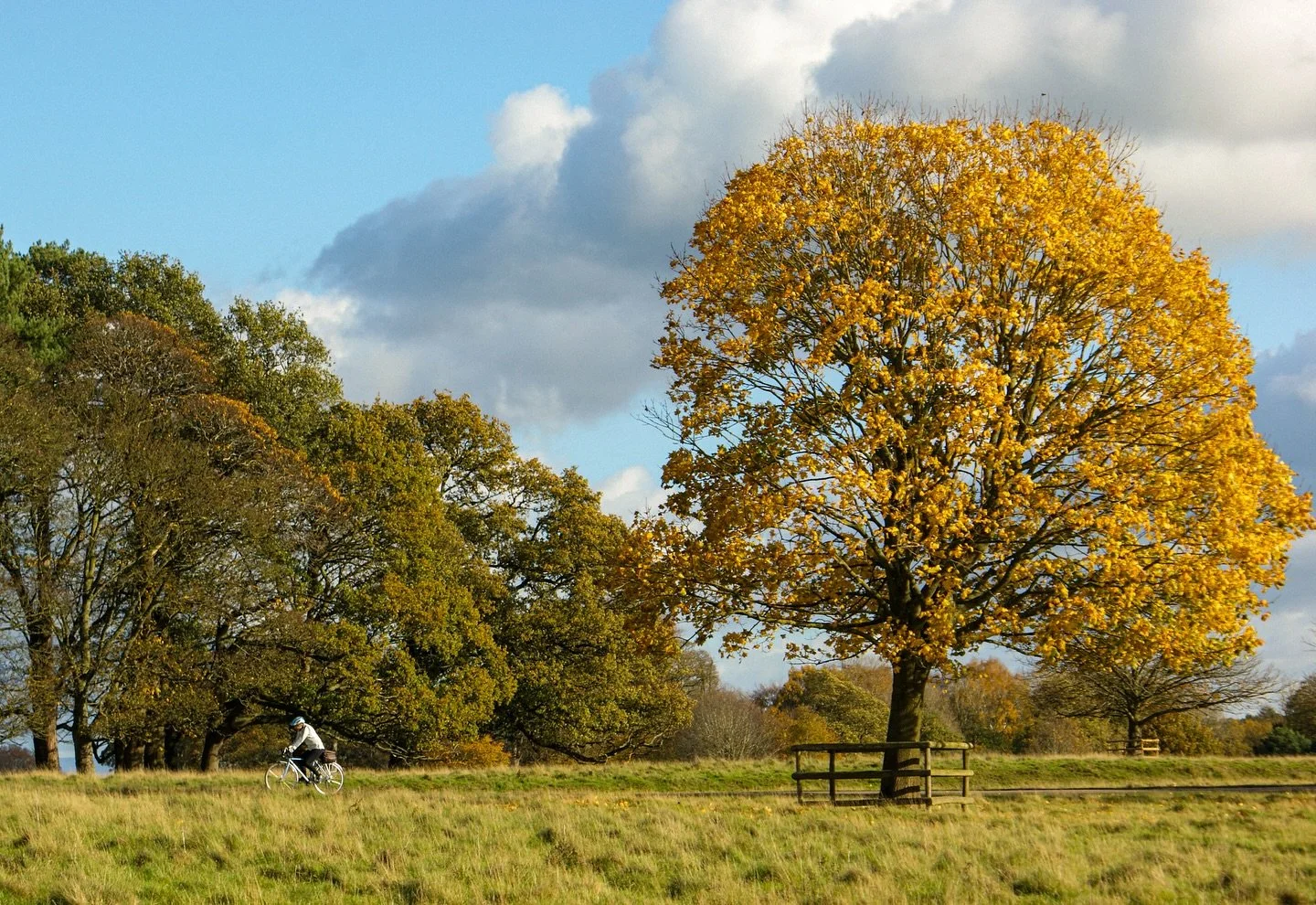 ⛅️ 🍁 🚲 

Golden hour on two wheels

📍 @tattonpark 

#TattonPark #CheshireDaysOut #AutumnVibes #ThroughMyLens #VisitEngland #OutdoorAdventures #SeasonalMagic #SonyAlpha #AlphaAutumnUK