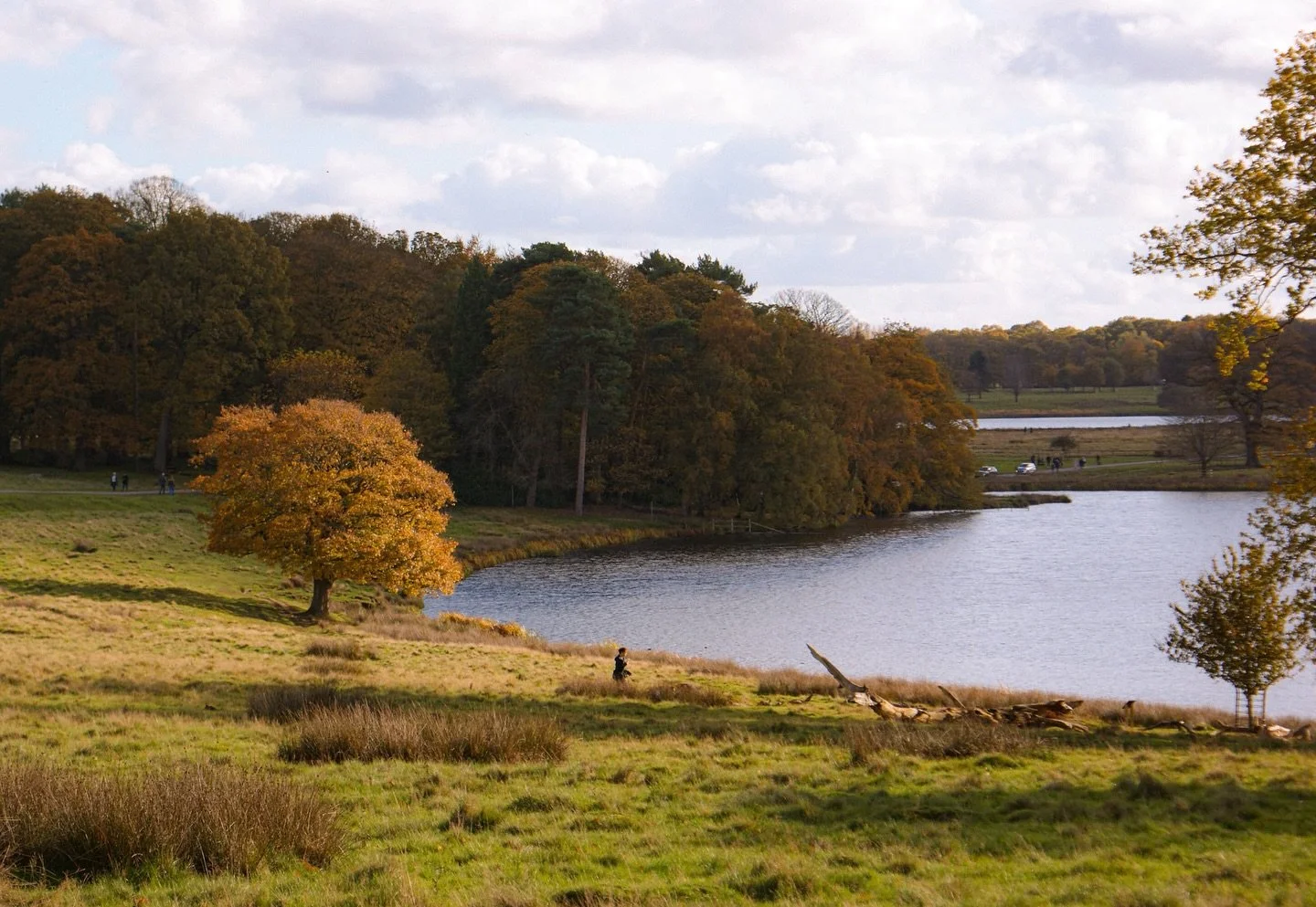 ☀️ 🍂 

📍 @tattonpark 

#TattonPark #CheshireDaysOut #AutumnVibes #ThroughMyLens #VisitEngland
#OutdoorAdventures #SeasonalMagic #SonyAlpha #AlphaAutumnUK