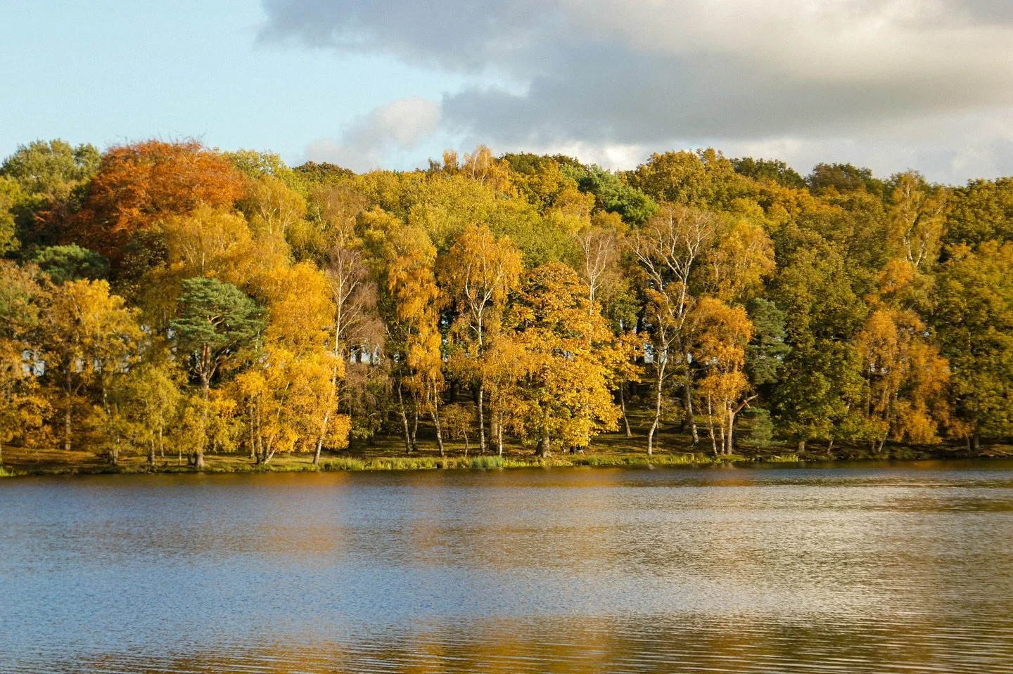 🍂 

Sonnet 73

Shakespeare 

That time of year thou mayst in me behold,
When yellow leaves, or none, or few, do hang
Upon those boughs which shake against the cold,&hellip;

📍 @tattonpark 

#TattonPark #CheshireDaysOut #AutumnVibes #ThroughMyLens #