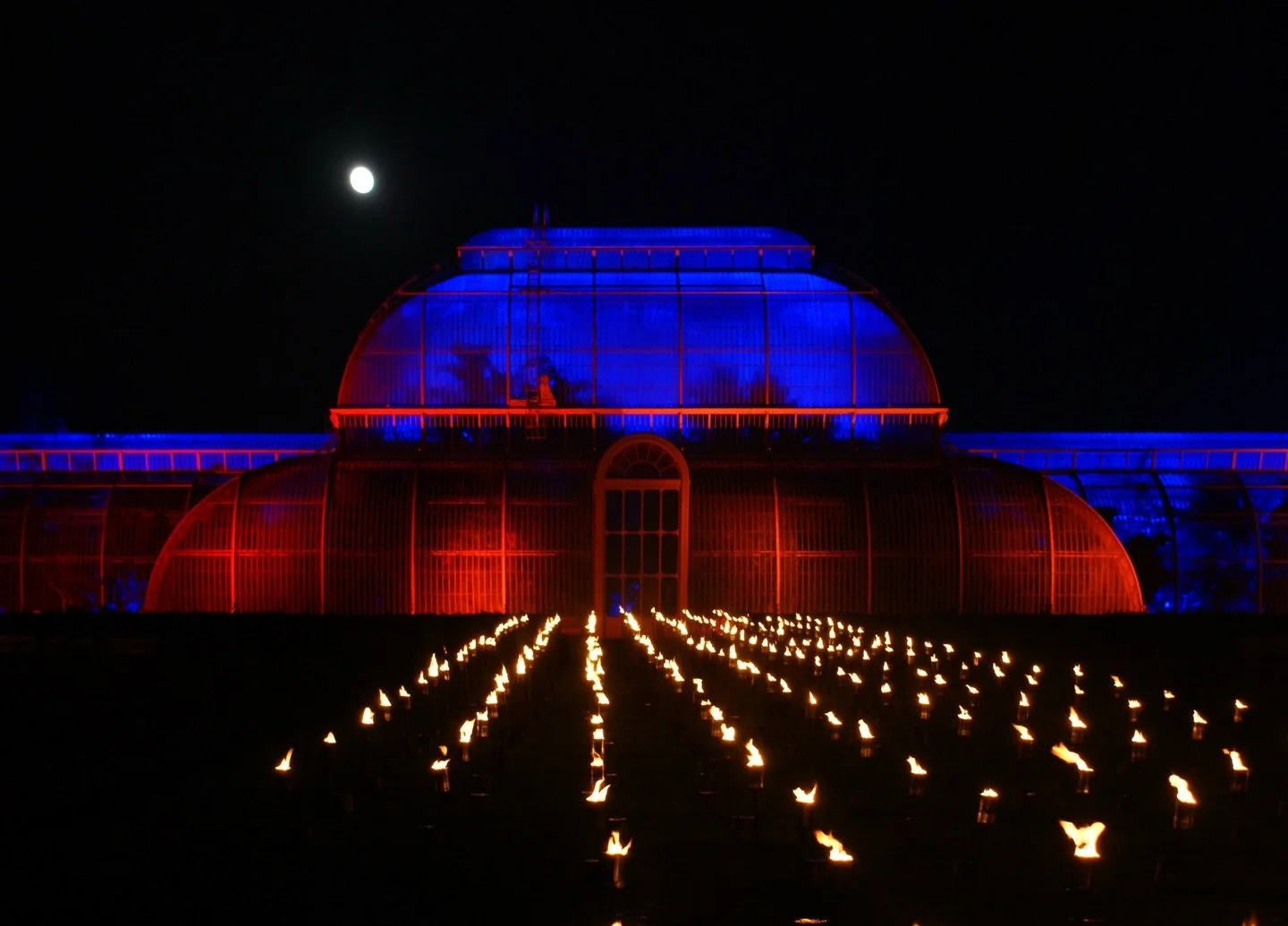 💡 ✨ 🪴 

Twinkling paths, glowing branches, Christmas @kewgardens 

#KewGardens #FestiveLights #LondonWinter
#WinterWalks #SonyAlpha