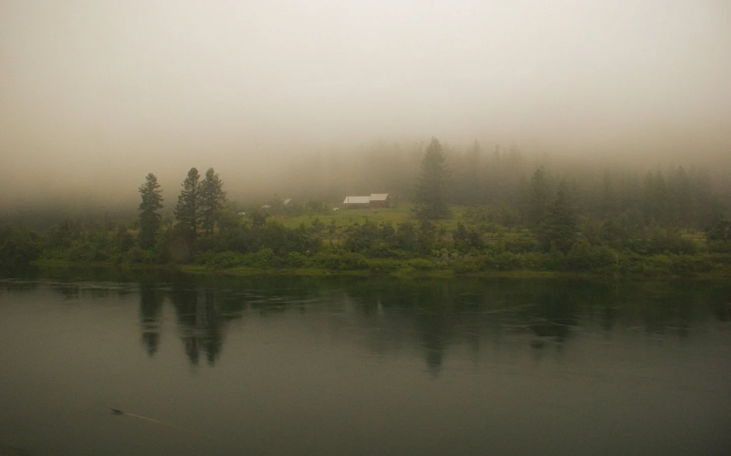 🌫️🚆

Into the mist, toward the mountains @glaciernps 

#AmtrakViews #NationalParks #TravelPhotography #SonyAlpha #MistyMorning