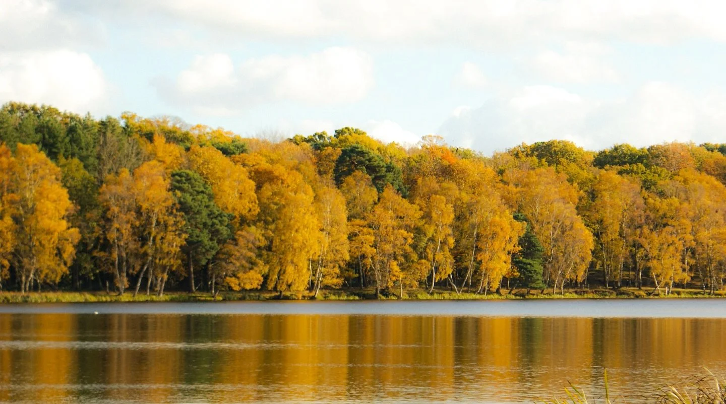 🍂 

📍 @tattonpark 

Autumn Song 

By George MacDonald

Goldener light sets noon a sleeping
Like an afternoon;
Colder airs come stealing, creeping 
From the misty moon;
And the leaves, of old age dying,
Earthy hues put on;
Out on every lone wind sig