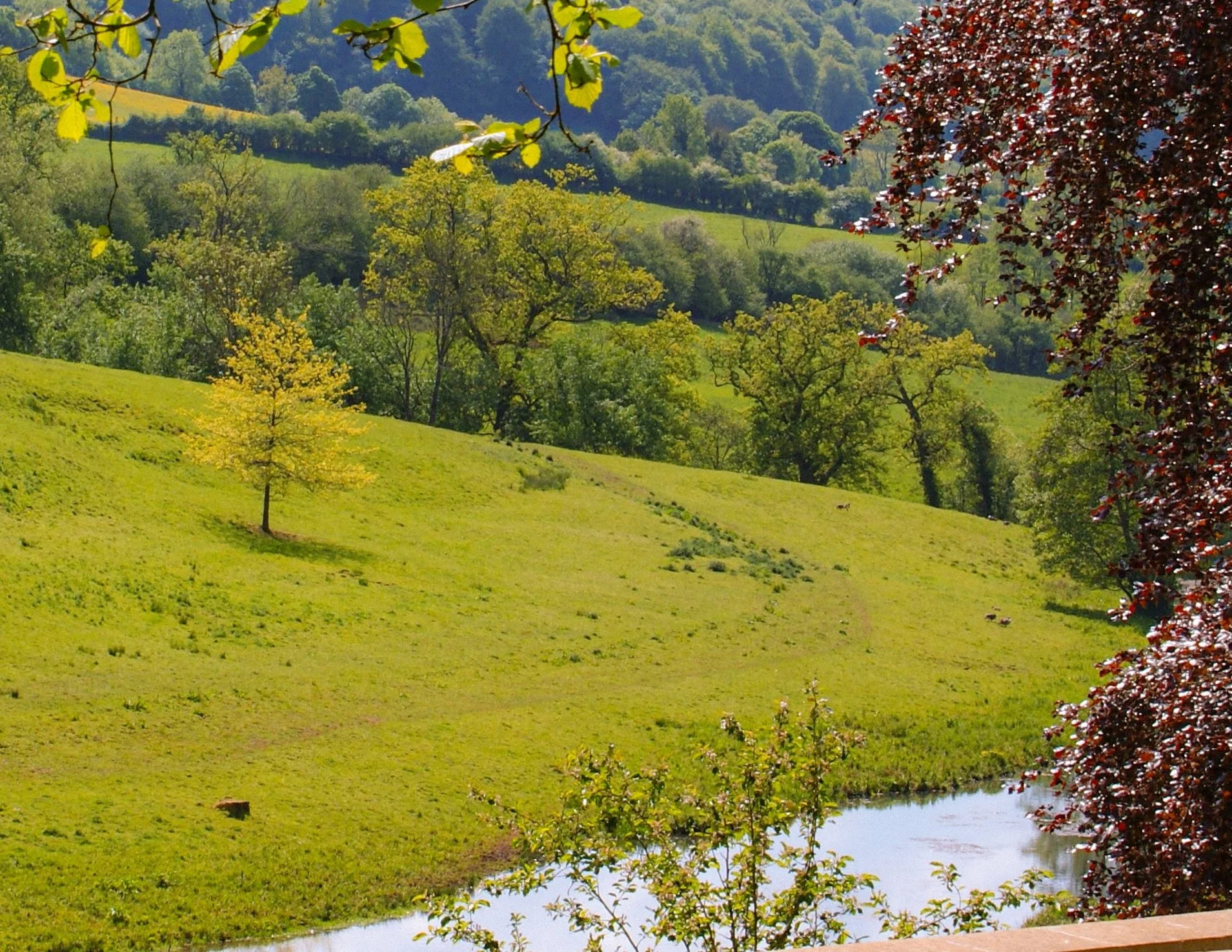 🏞️

Slad Valley Vistas 🤩

May Night

Sara Teasdale

The spring is fresh and fearless 
And every leaf is new,
The world is brimmed with moonlight, 
The lilac brimmed with dew.

Here in the moving shadows 
I catch my breath and sing - 
My heart is fr