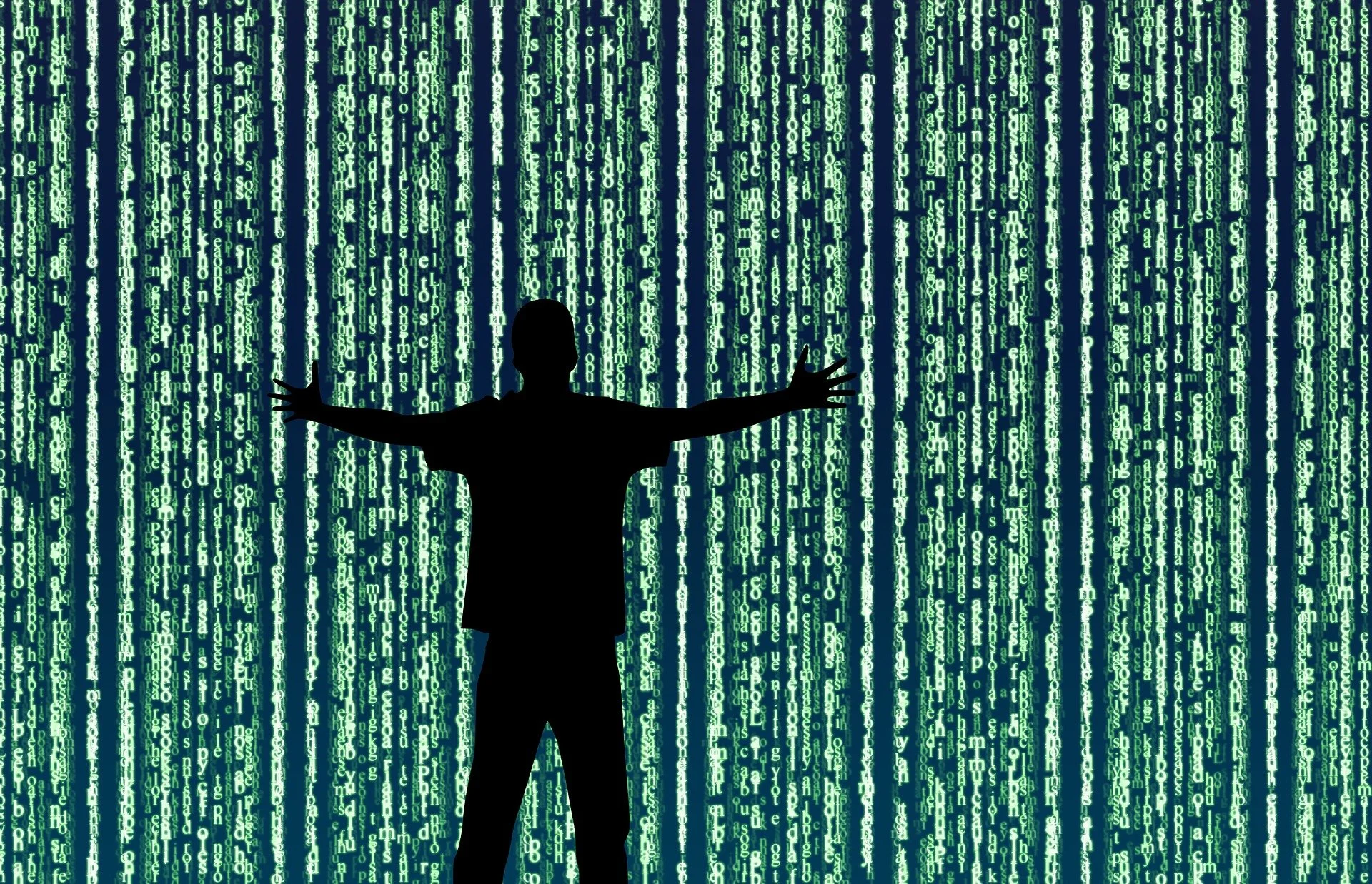 Shadow AI as a Strategic Demand Signal