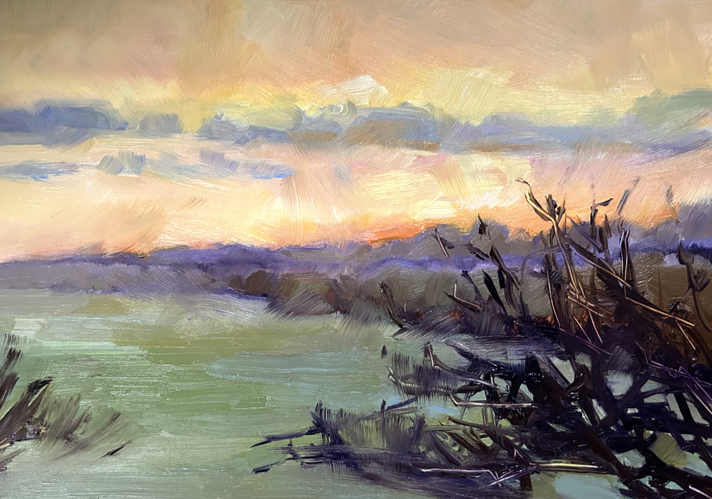Sunrise, January