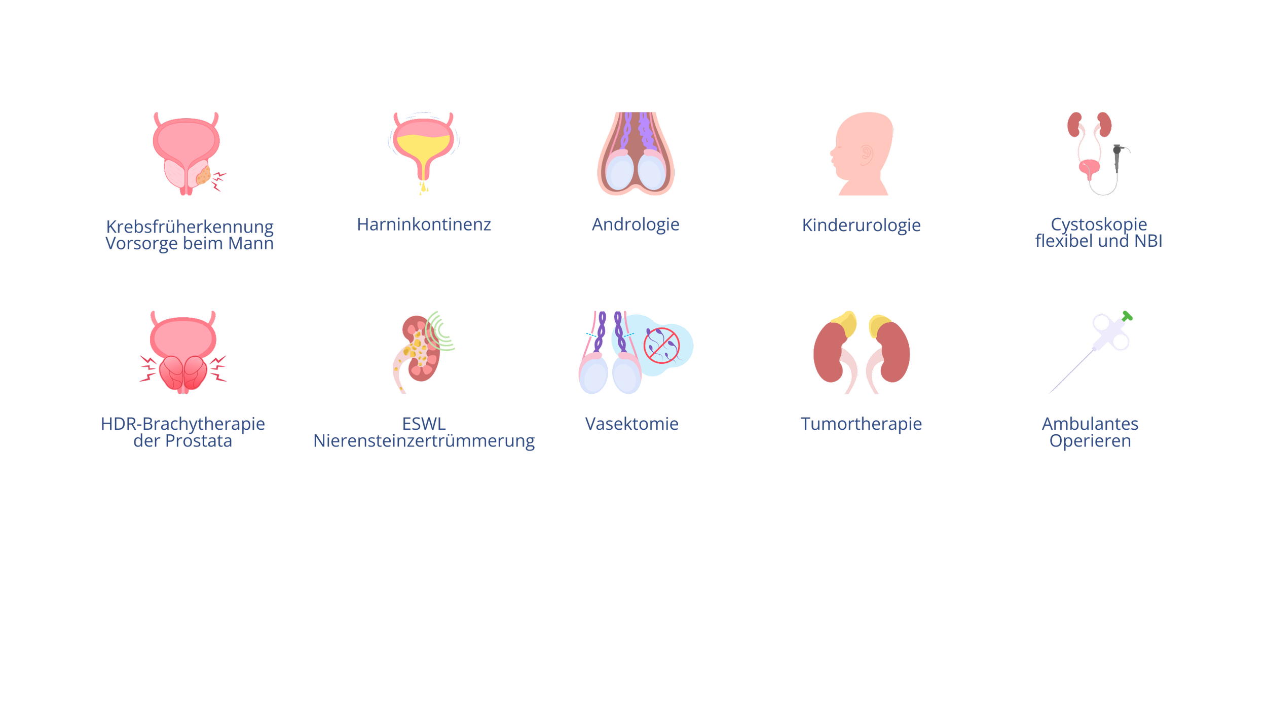 Medizinische Symbole und Bezeichnungen für urologische Dienstleistungen: Krebsfrüherkennung, Harninkontinenz, Andrologie, Kinderurologie, Flexible Cystoskopie mit NBI, HDR-Brachytherapie für die Prostata, ESWL für Nierensteinzertrümmerung, Vasektomie, Tumortherapie und ambulantes Operieren.