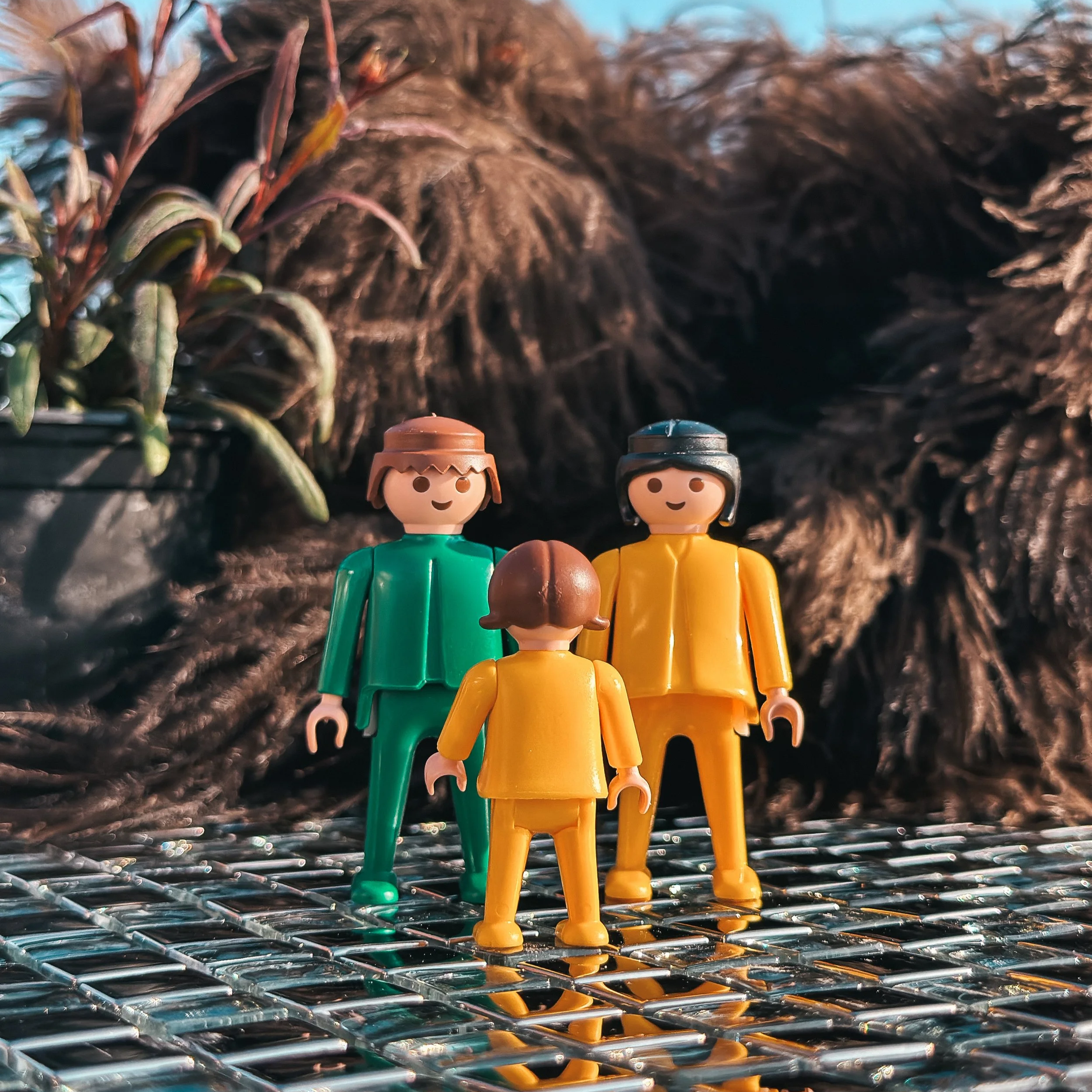 Mis on esindamine perekonstellatsioonis?