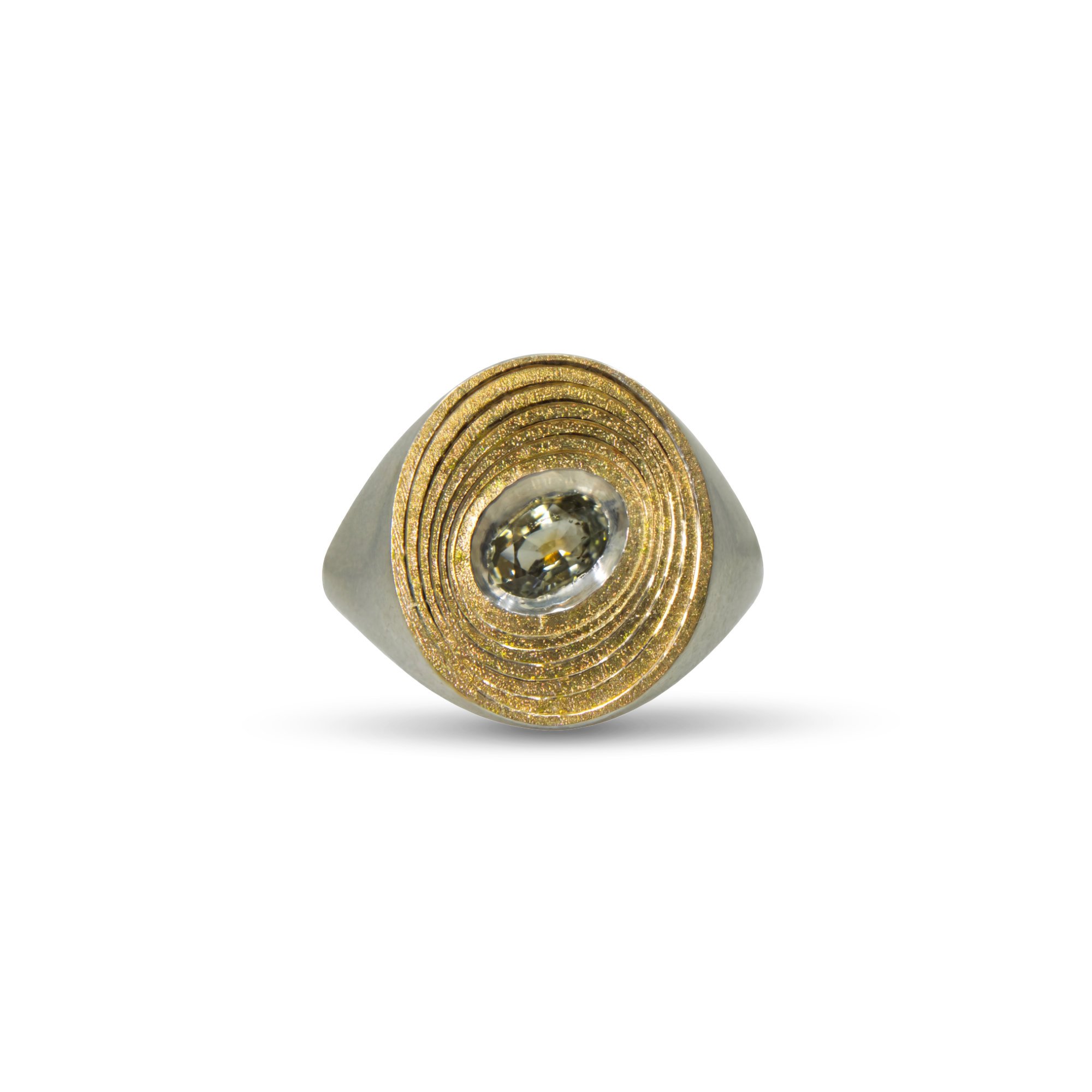 Large spiral signet front with shadow.jpg
