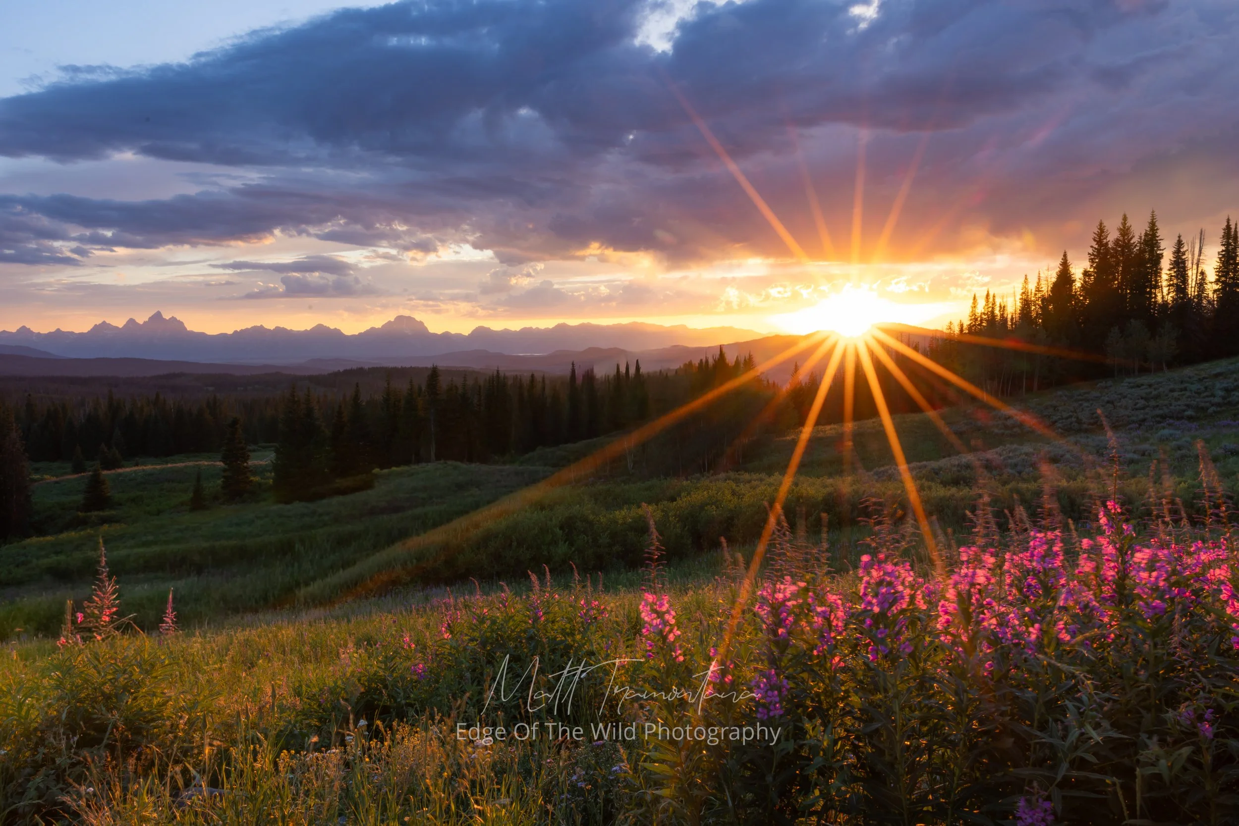 Teton Purple Sunset