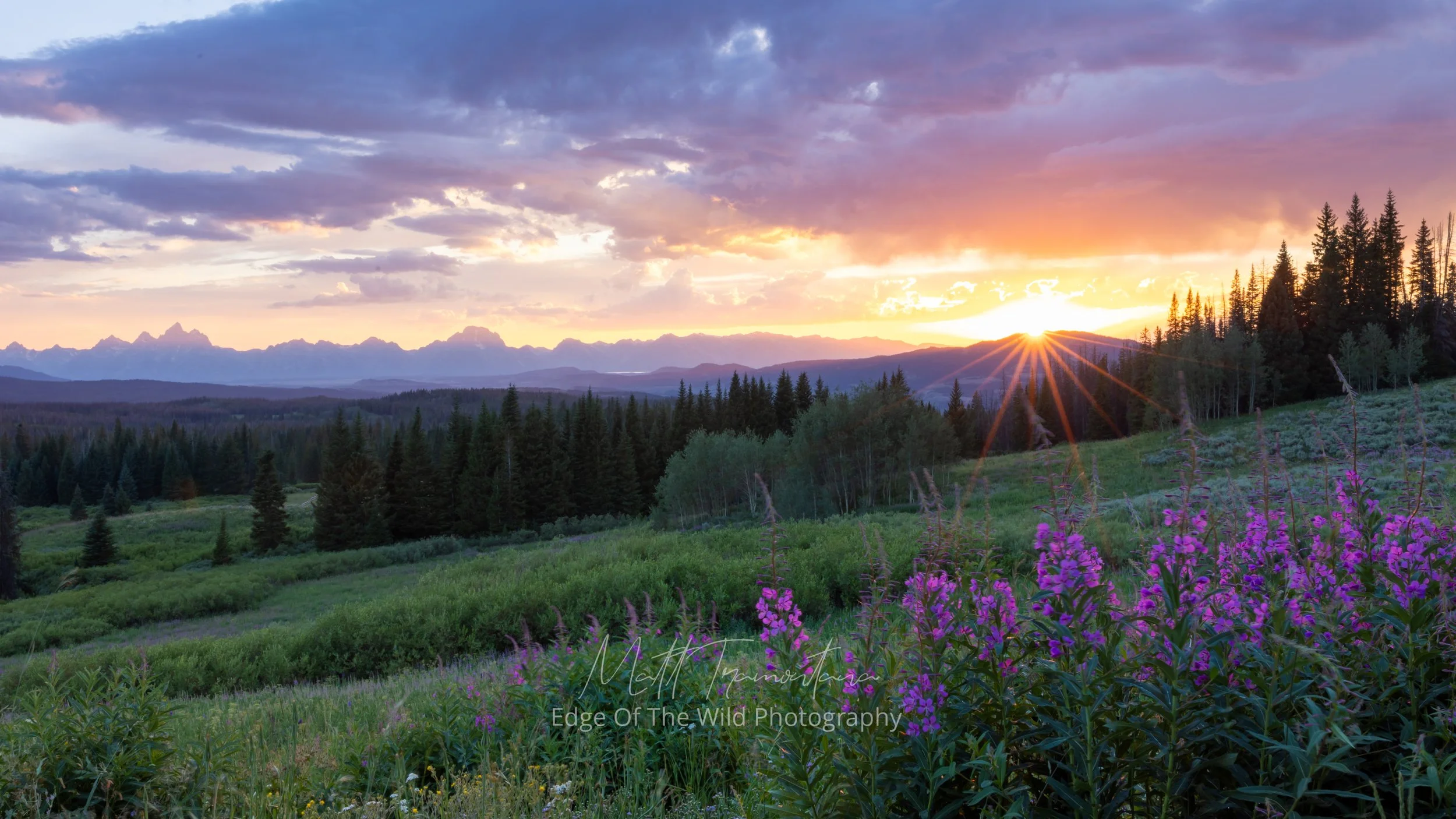 Teton Purple Sunset Wide Angle