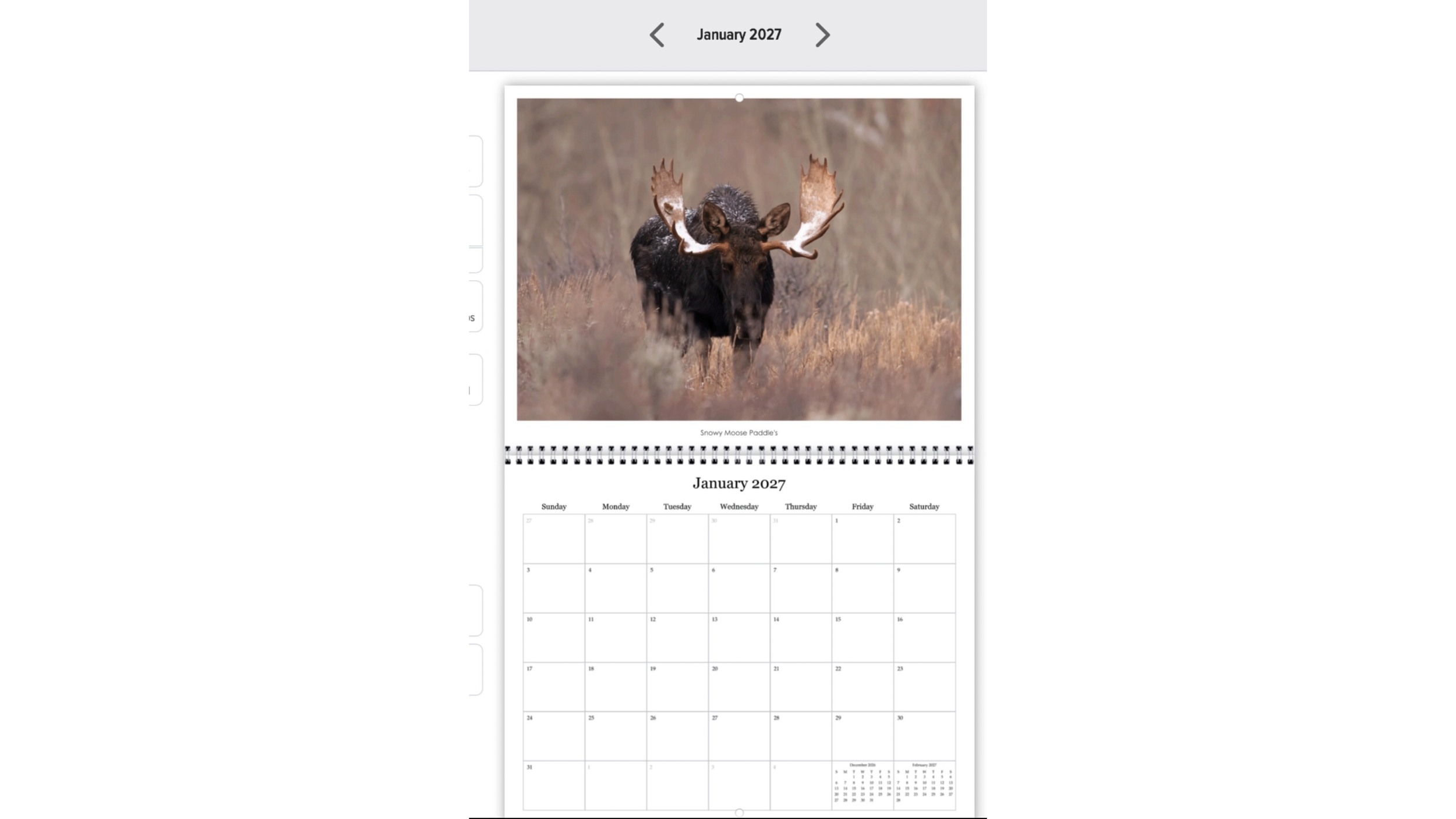 moose snow website.png
