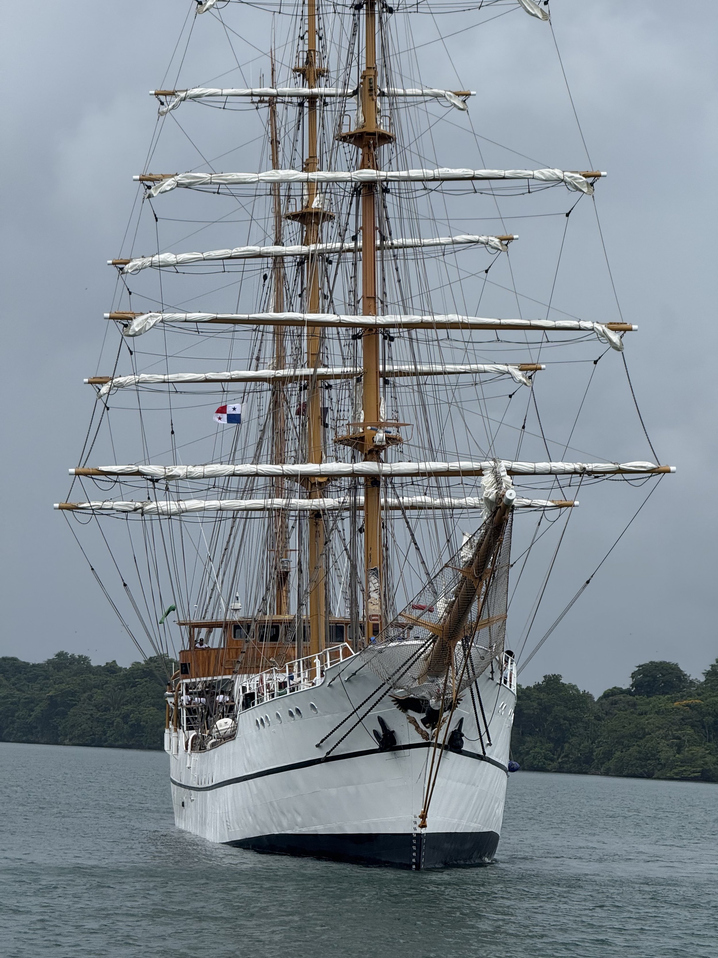 A large tall ship with multiple masts and sails, floating on a body of water with a forested shoreline in the background.