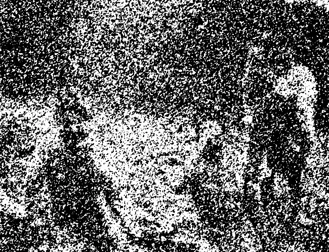 A stippled, black-and-white abstract pattern resembling a human face in profile.