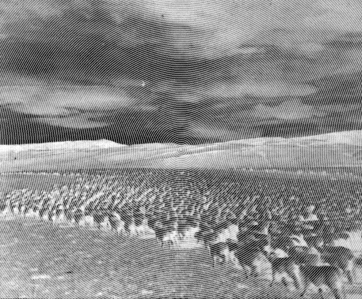 A grayscale photo of a large herd of cows in a field with a cloudy sky overhead.