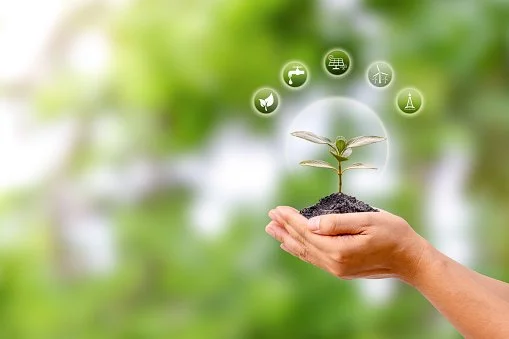 ISO 14001:2015 EMS Overview (Exemplar)