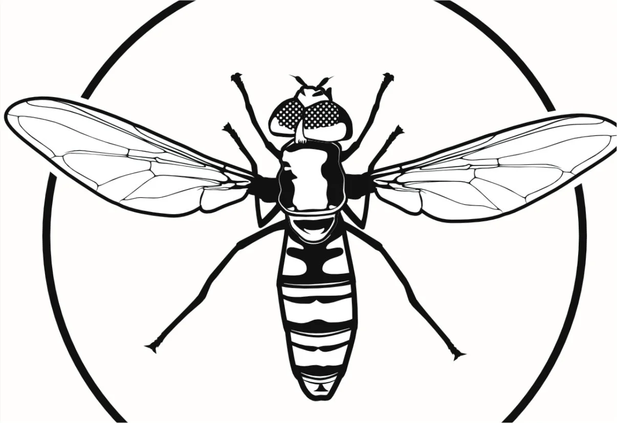 Custom plaques - hover fly.jpg