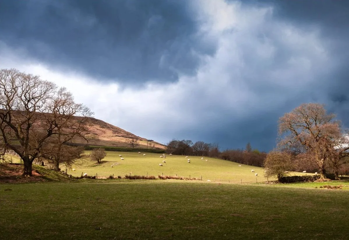 Photos+-+Farndale.jpg