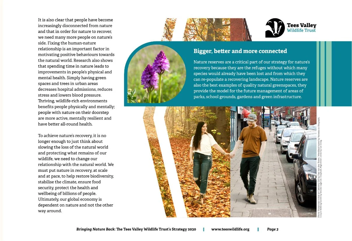 Marketing - strategy page.jpg