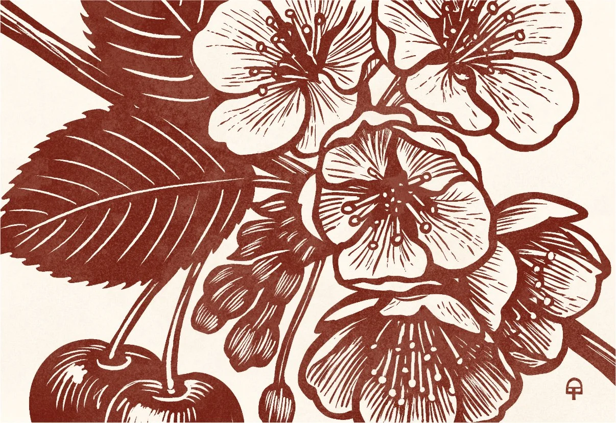 Original art - cherry.jpg