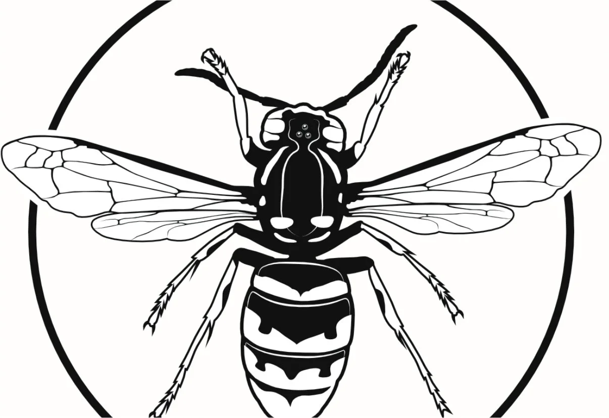 Custom plaques - wasp.jpg