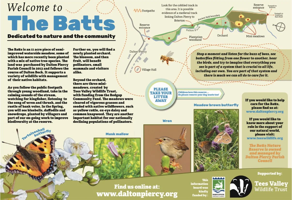 Display boards - Batts info.jpg