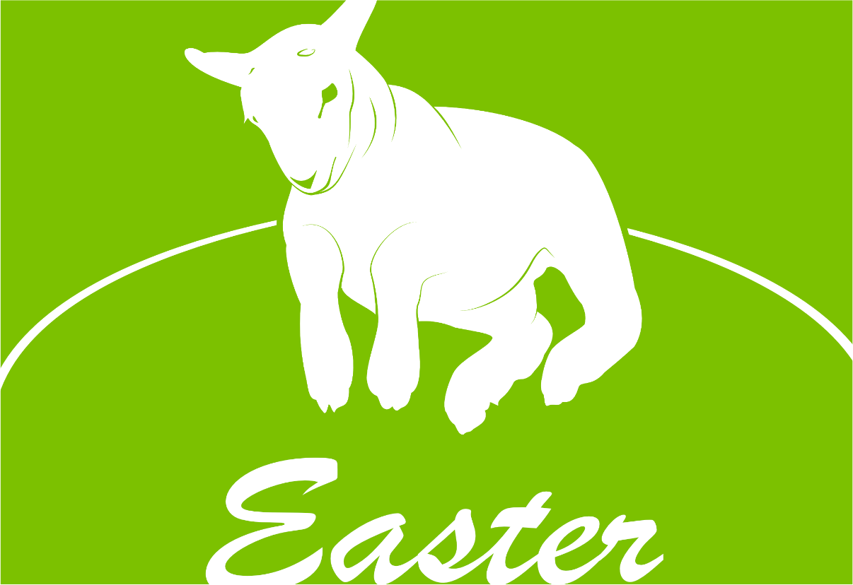 Cards - lamb.png