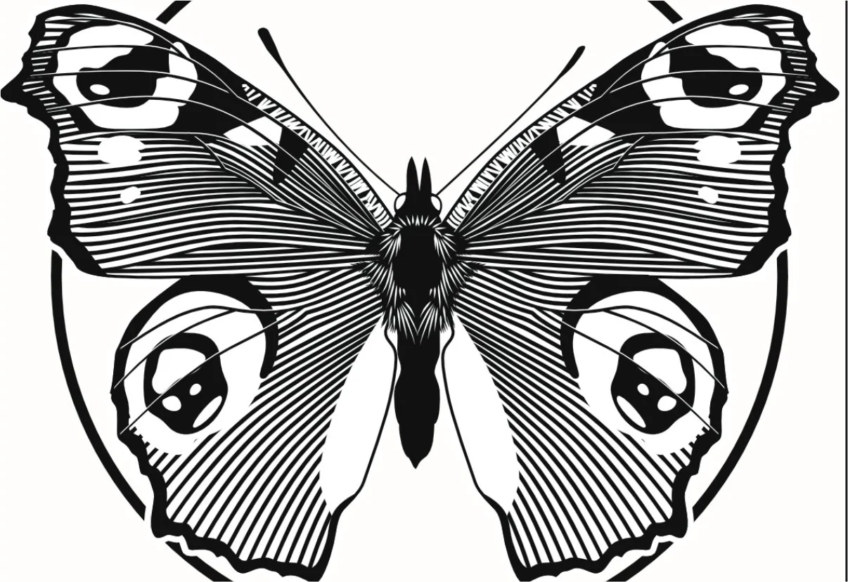 Custom plaques - butterfly.jpg