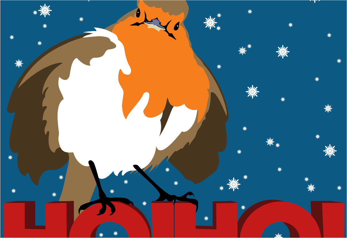 Cards - robin.png