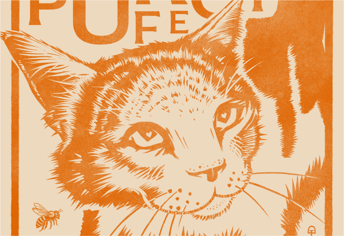 Cards - cat.png