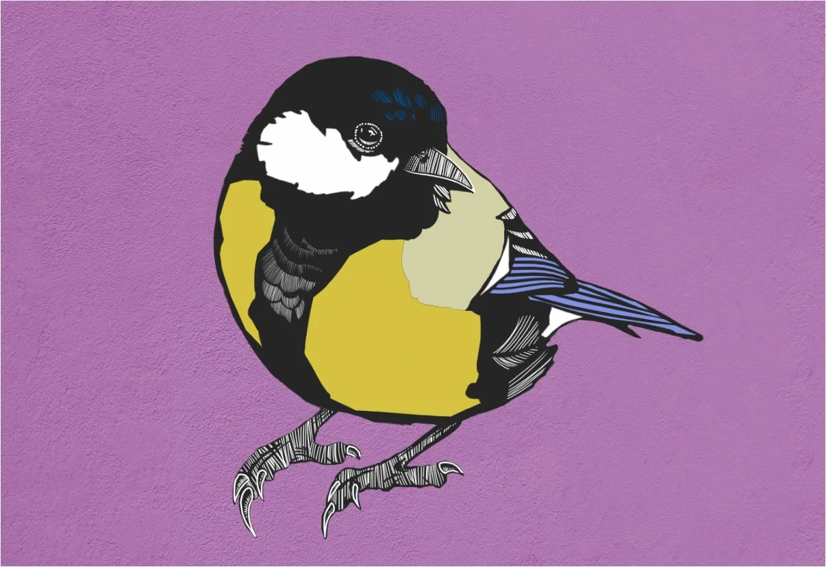 Original art - blue tit.jpg