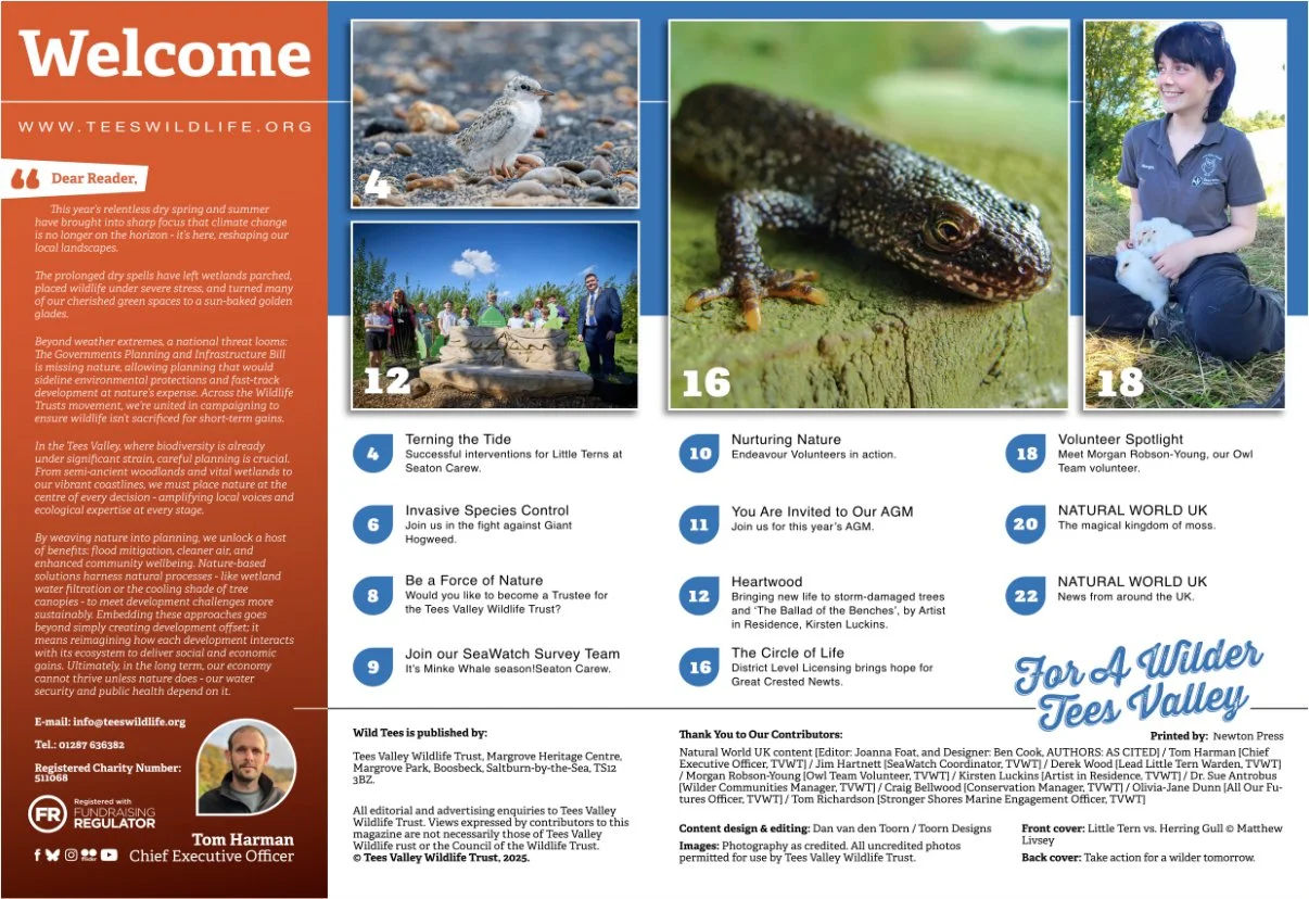 Marketing - welcome page.jpg