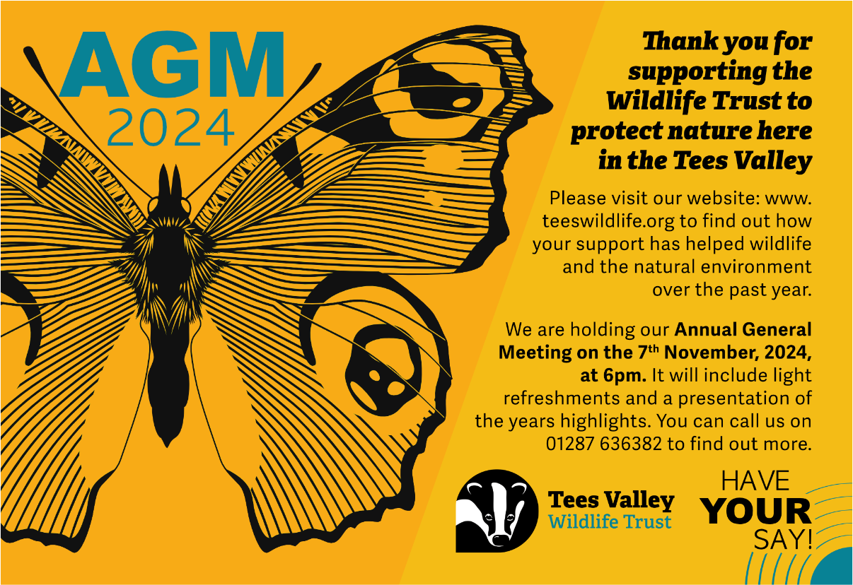 Marketing - AGM.png
